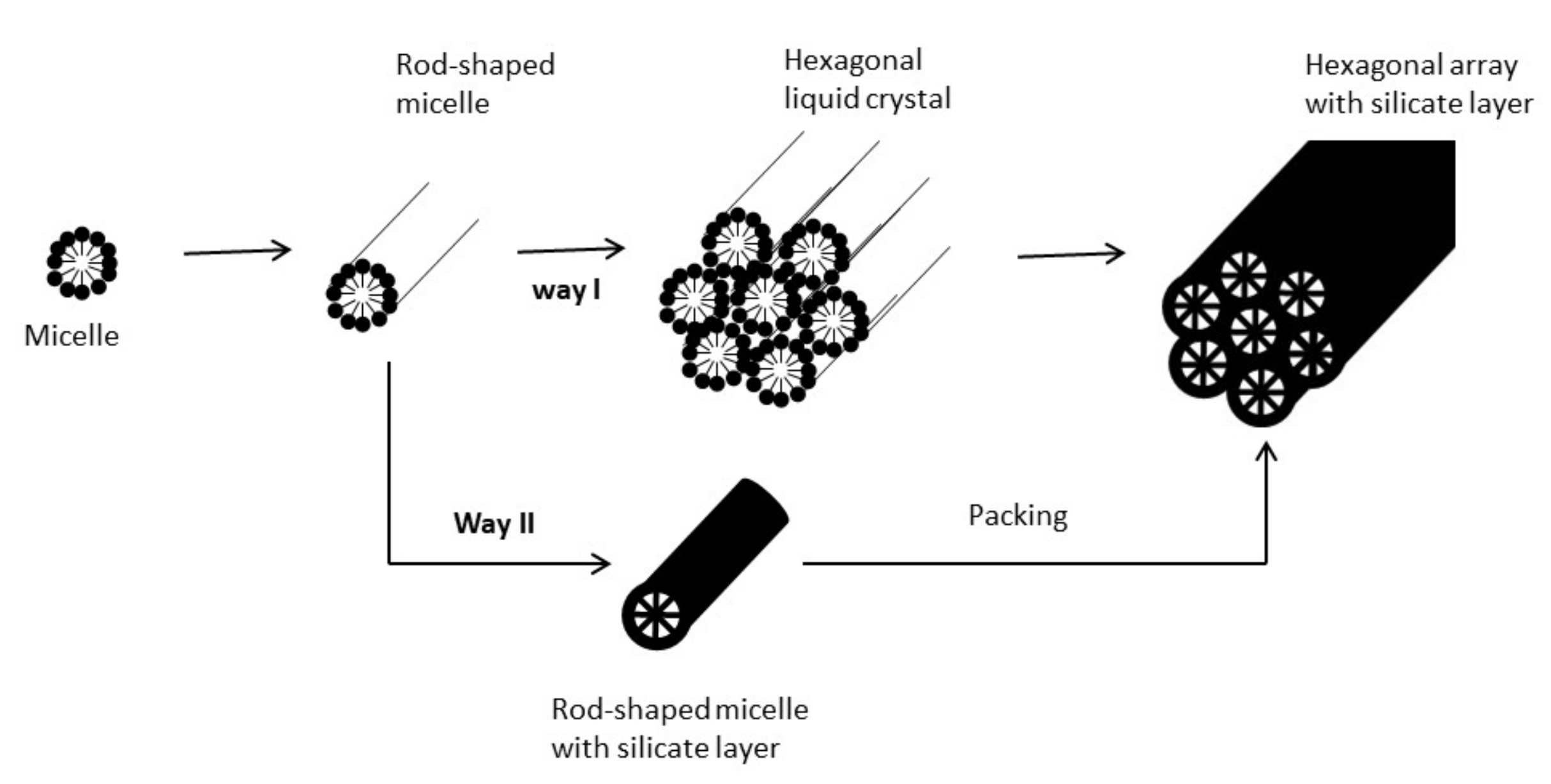 Catalysts 10 00706 g003