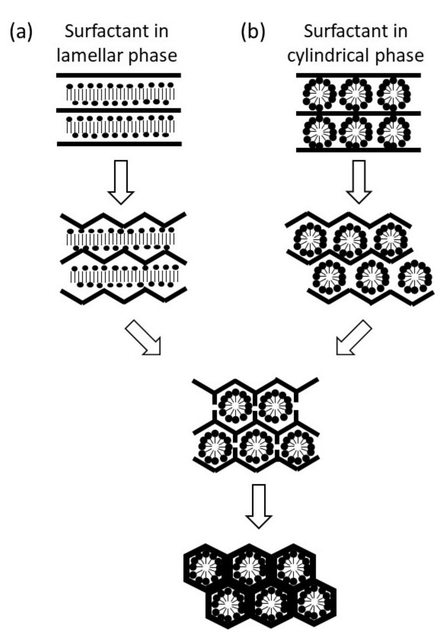 Catalysts 10 00706 g004