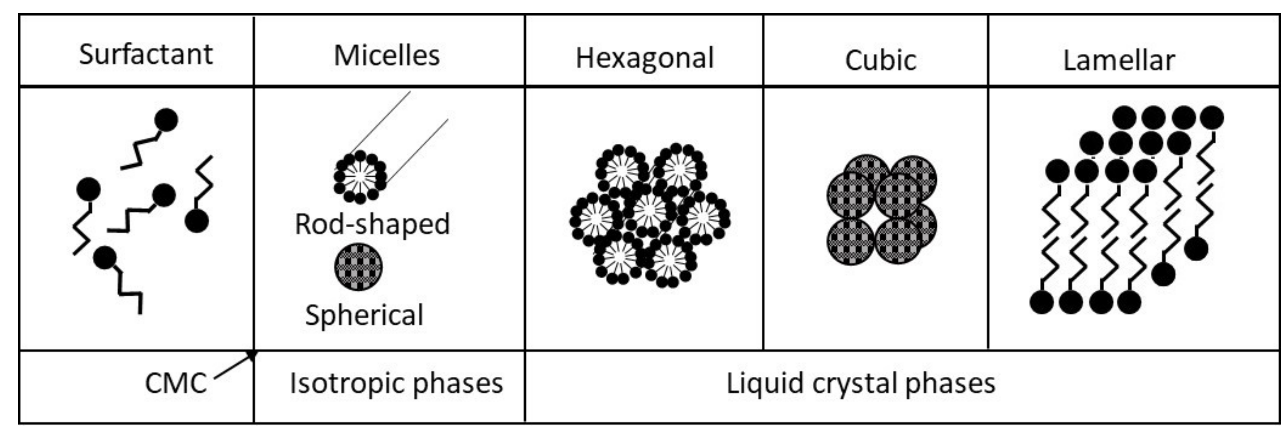 Catalysts 10 00706 g005
