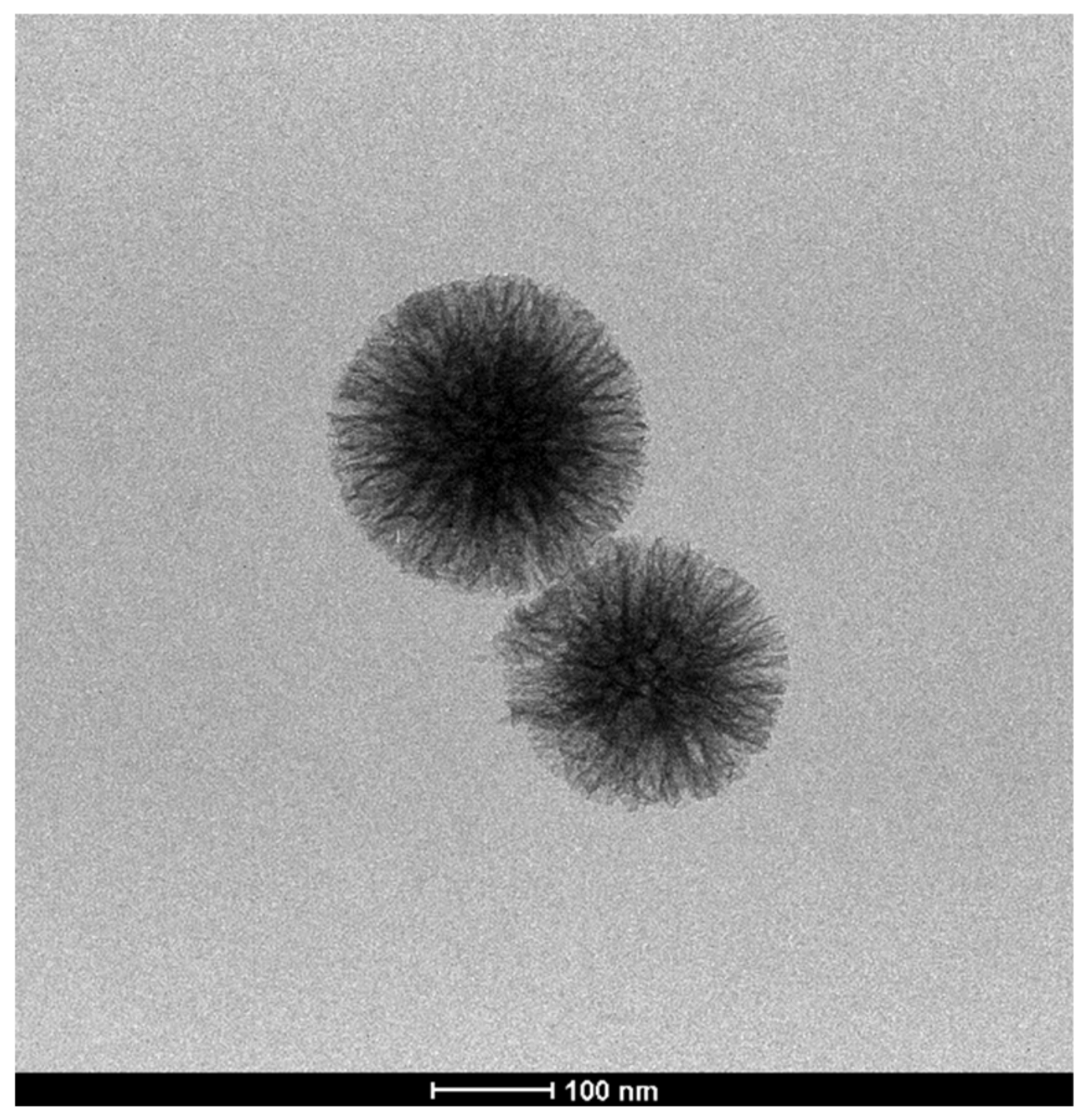 Catalysts 10 00706 g007