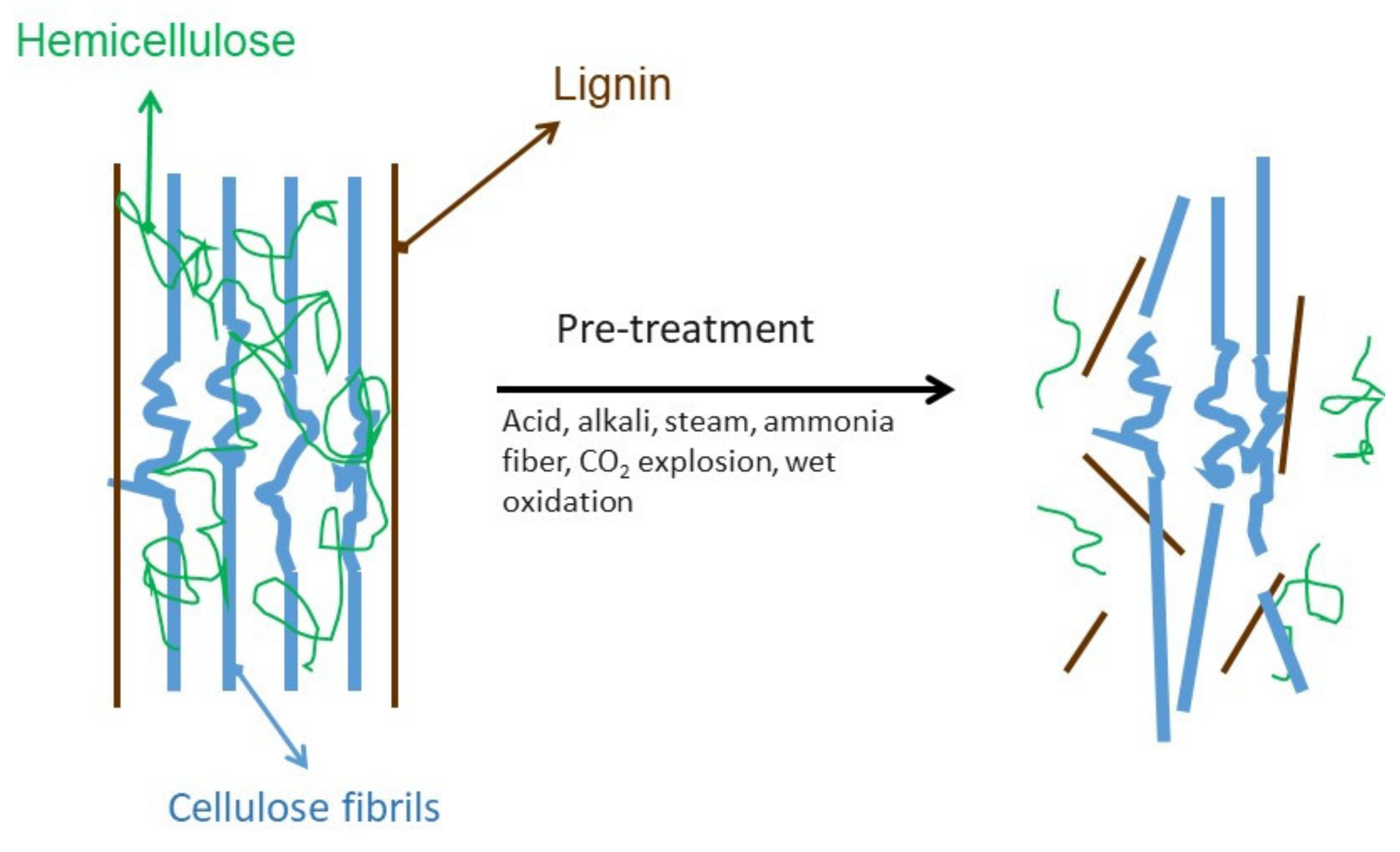 Catalysts 10 00706 g008