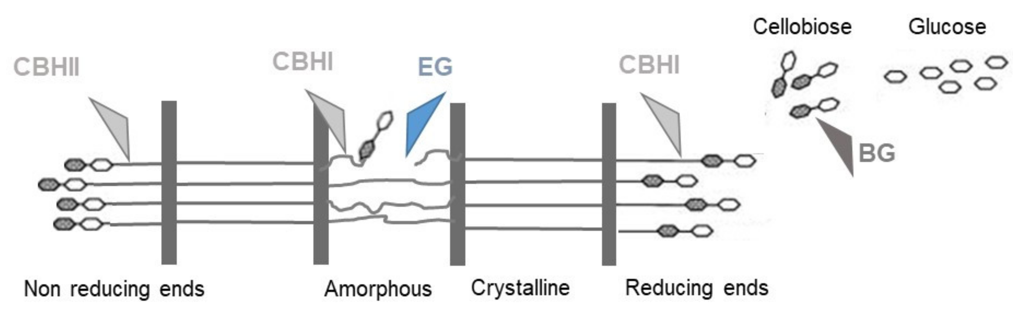 Catalysts 10 00706 g009