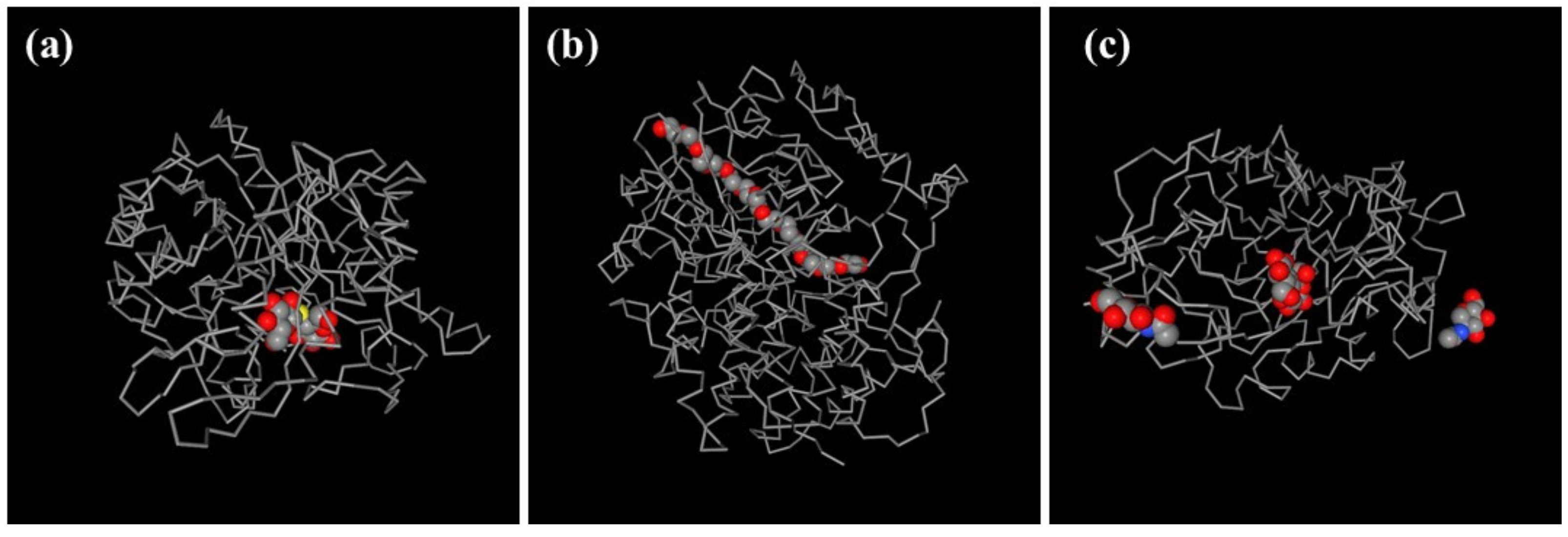 Catalysts 10 00706 g010