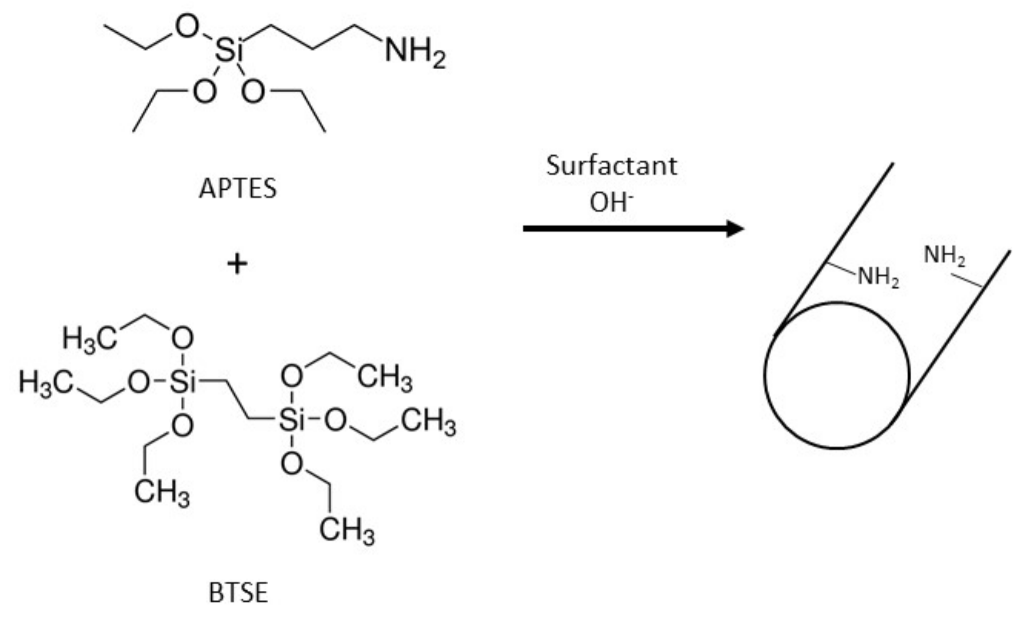 Catalysts 10 00706 sch001