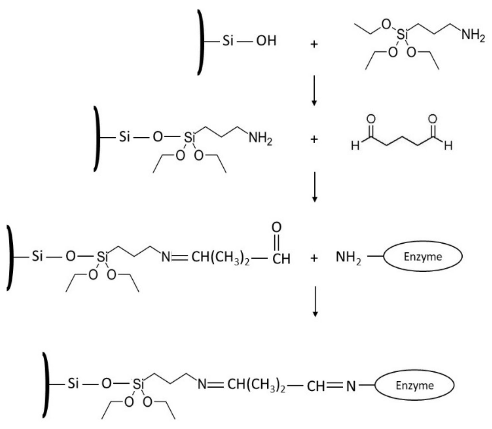 Catalysts 10 00706 sch002