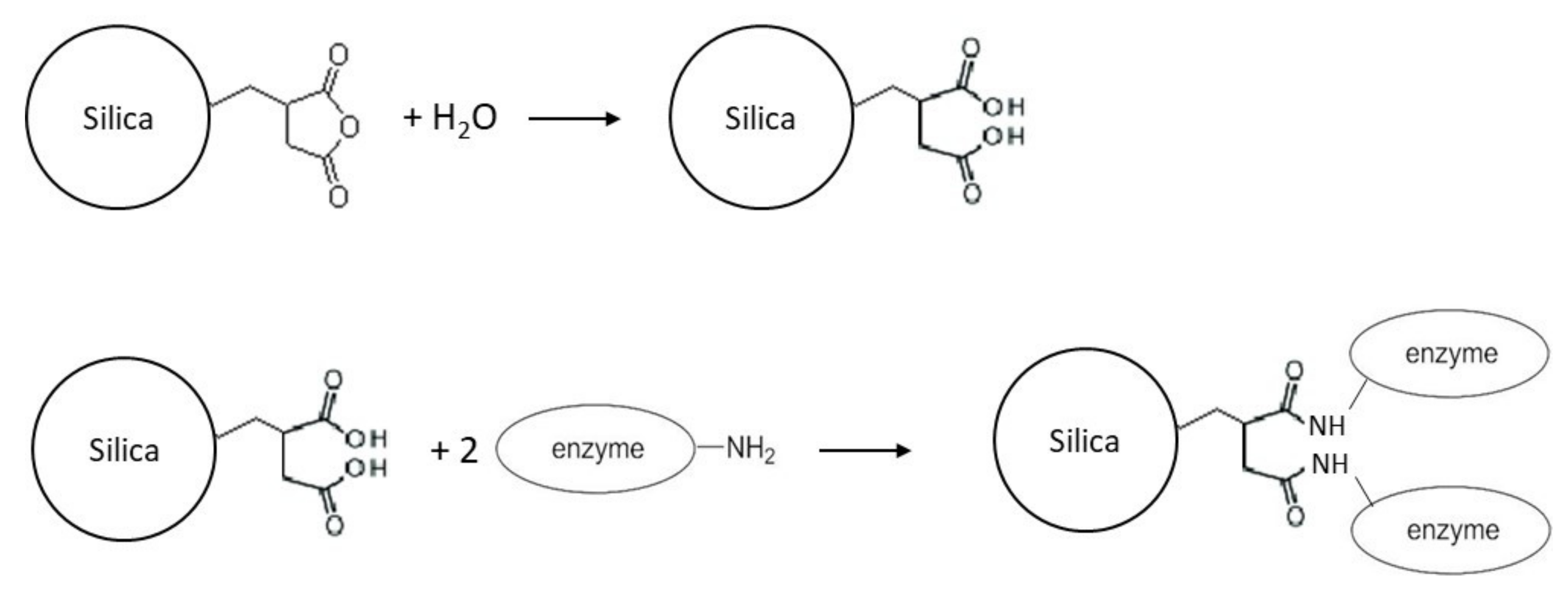 Catalysts 10 00706 sch004