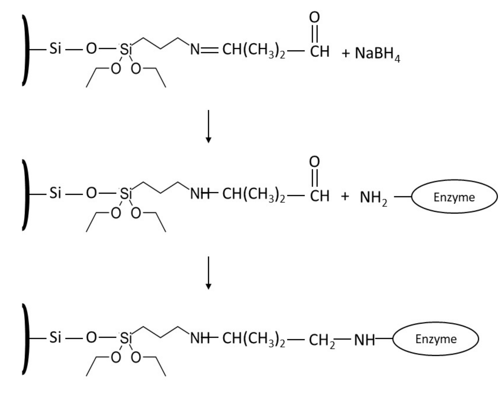 Catalysts 10 00706 sch005