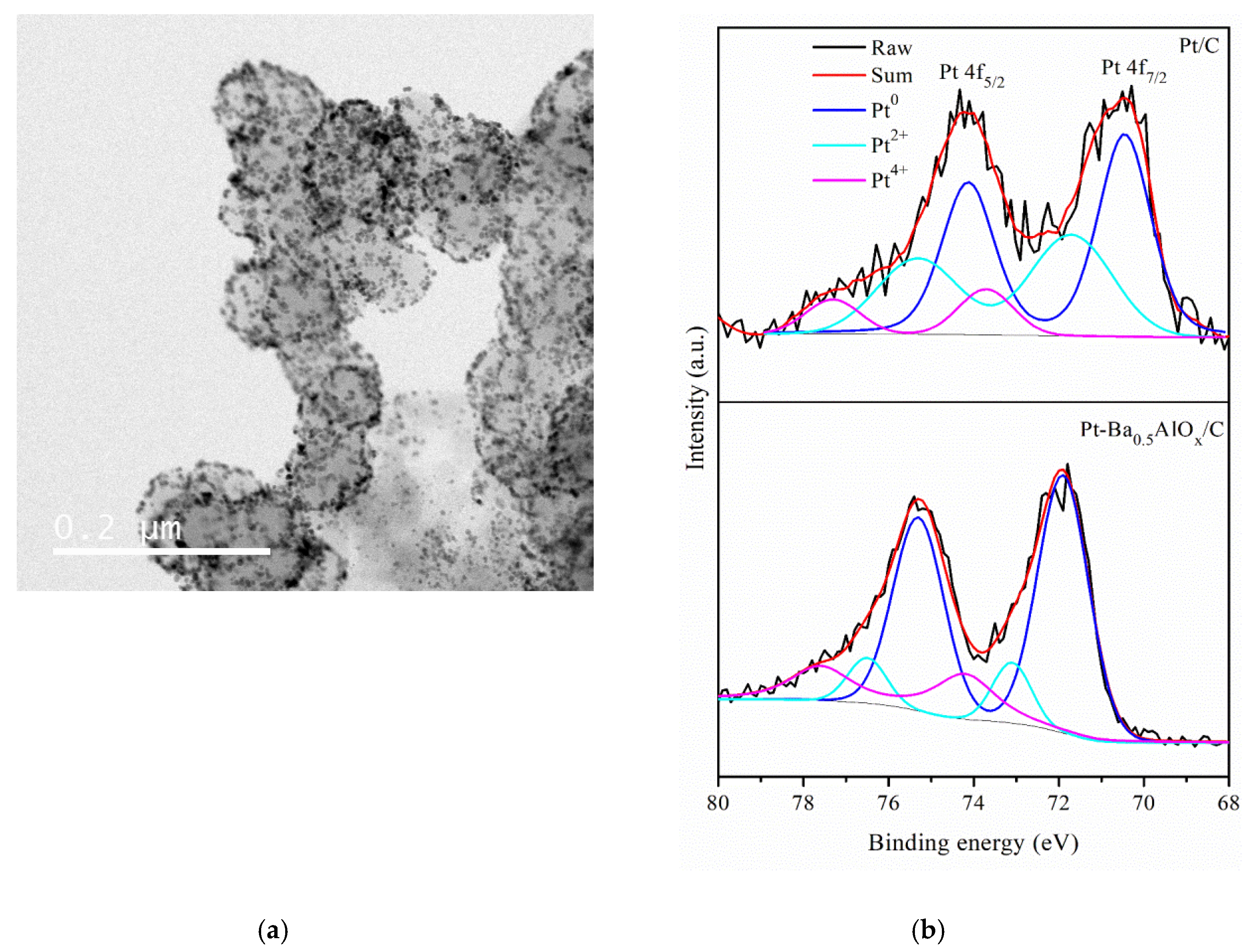 Catalysts 10 00708 g008