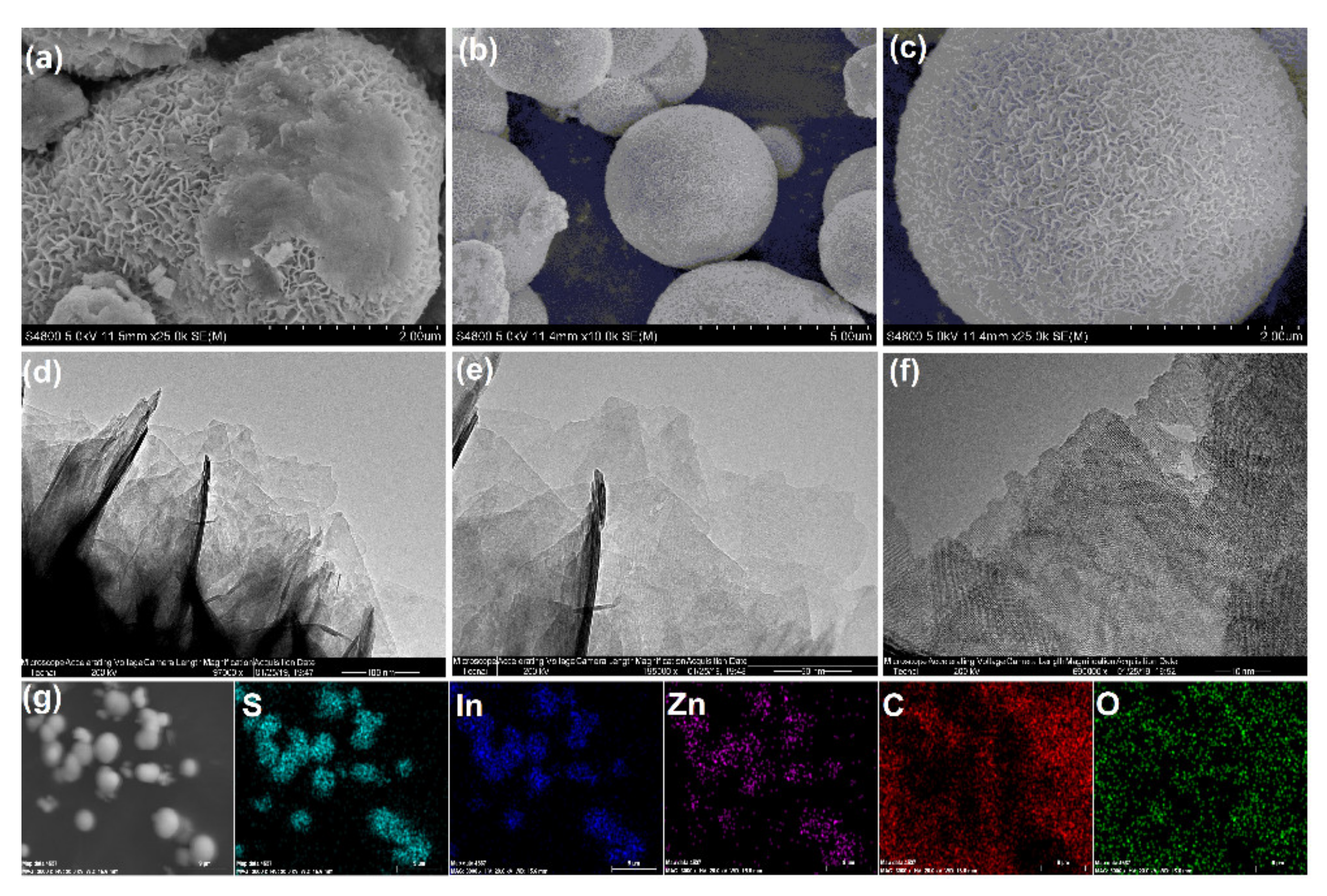 Catalysts 10 00710 g001
