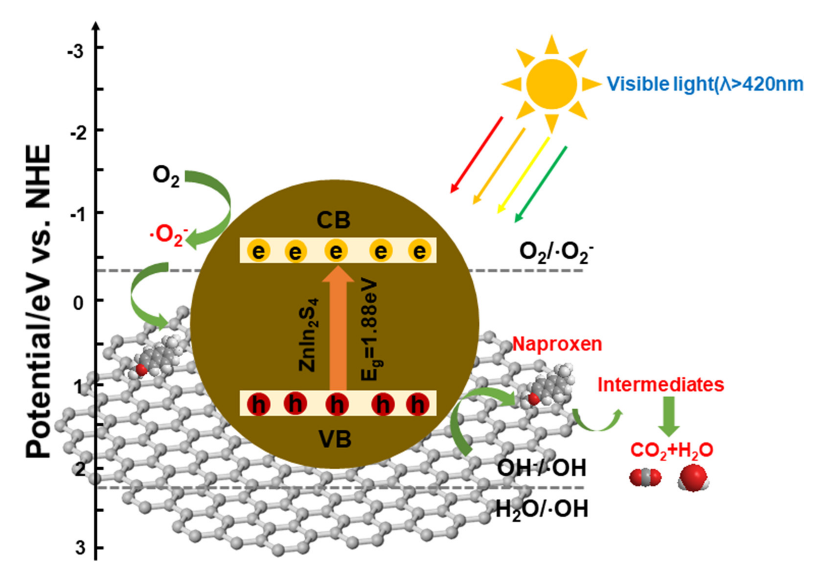 Catalysts 10 00710 g007