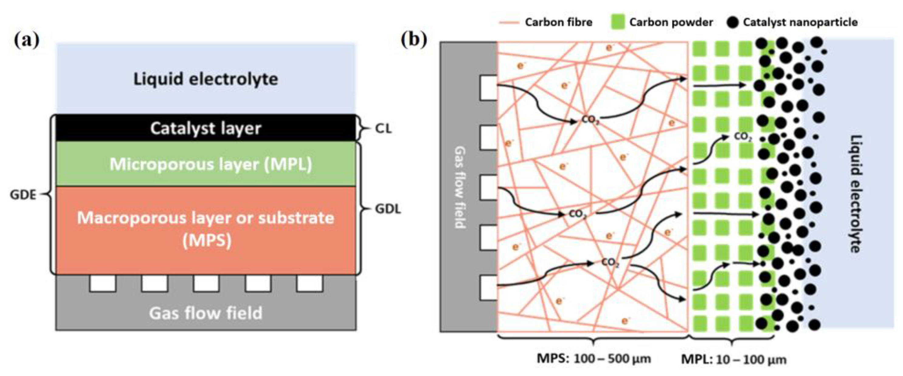 Catalysts 10 00713 g001