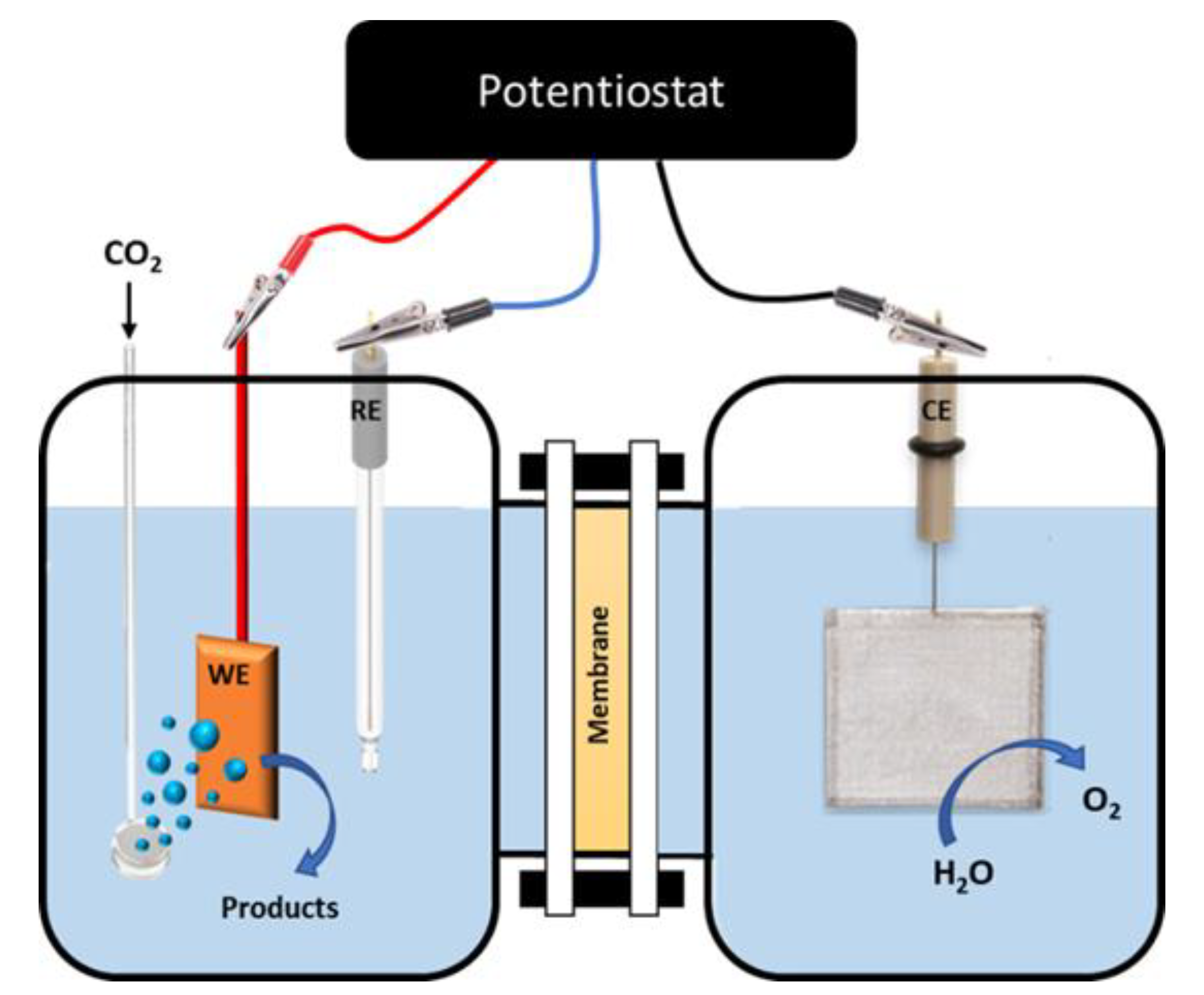 Catalysts 10 00713 g004