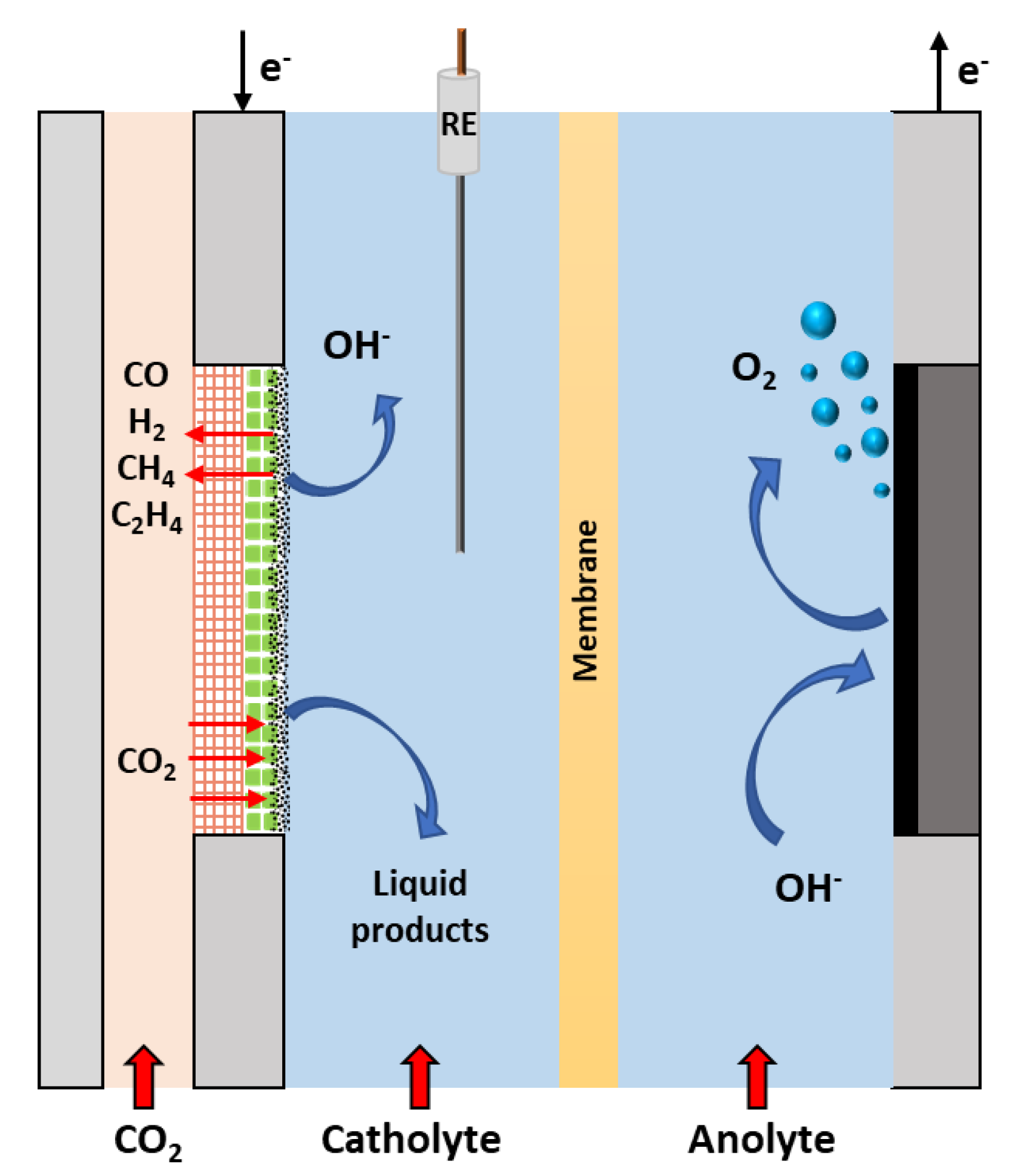 Catalysts 10 00713 g005