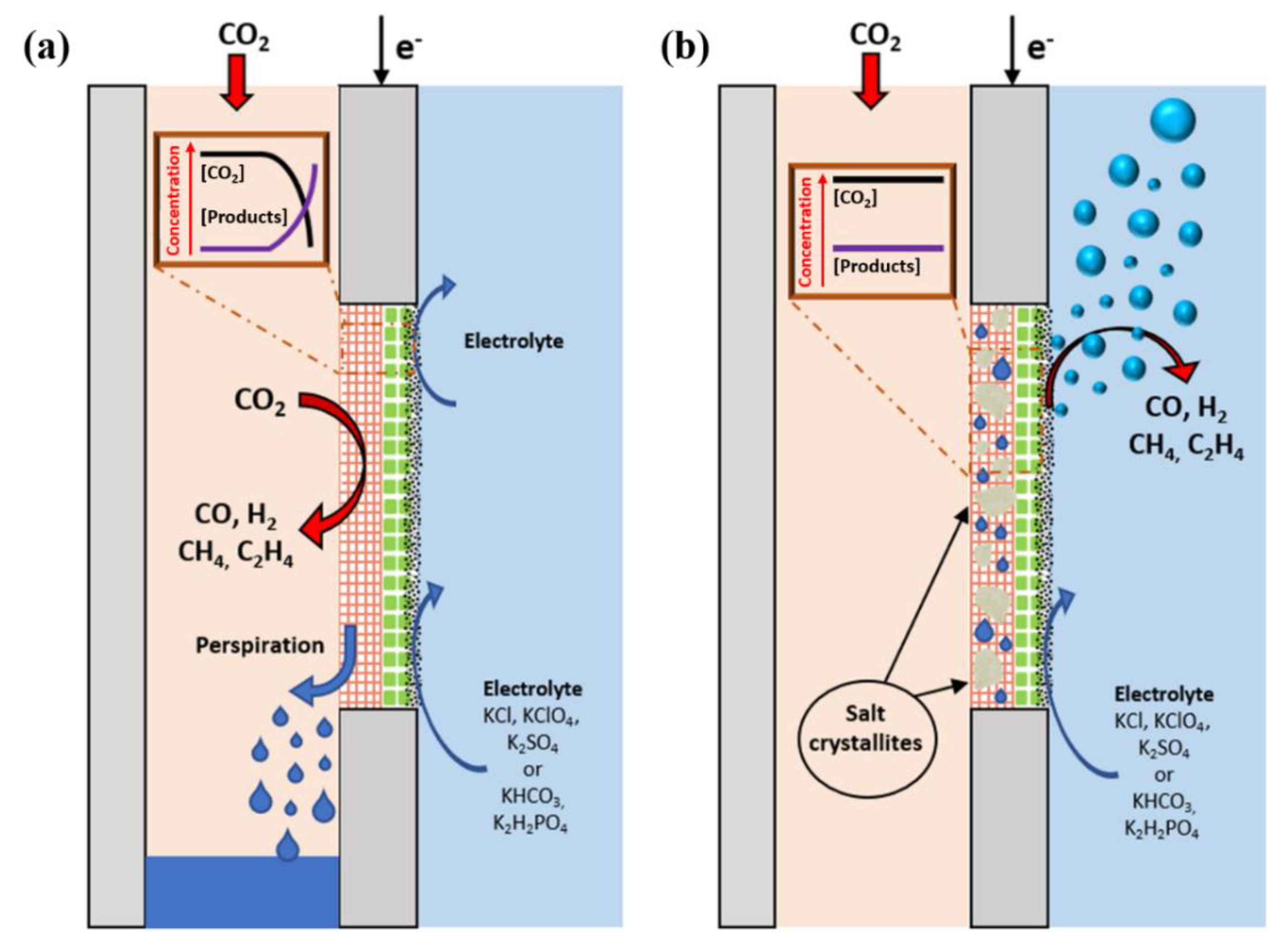Catalysts 10 00713 g006
