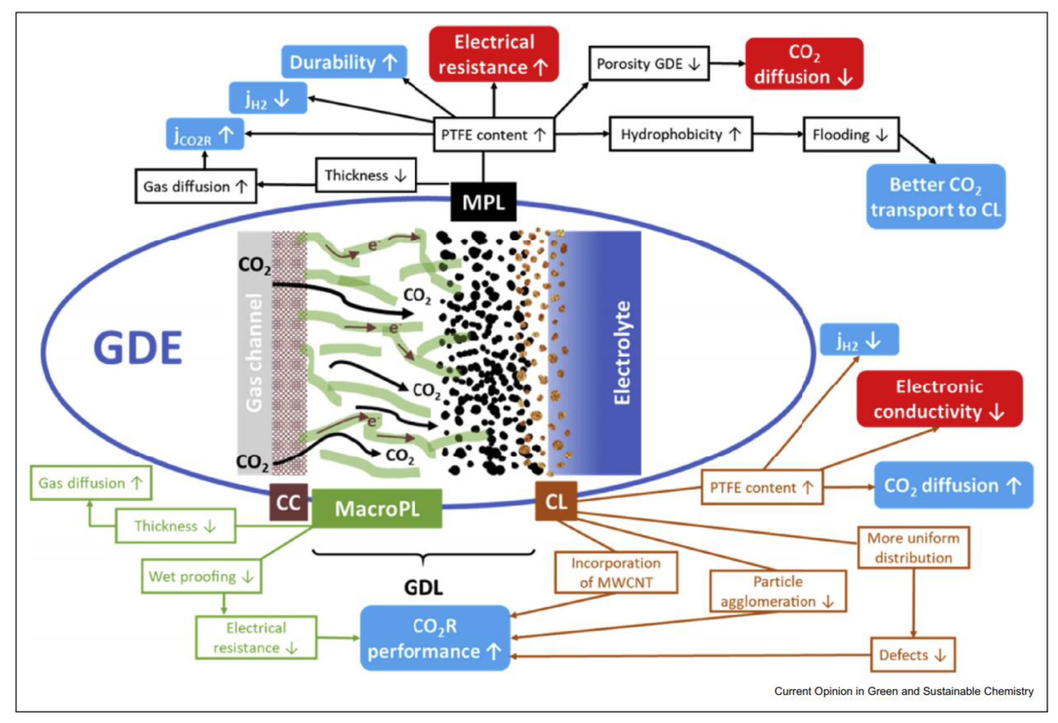 Catalysts 10 00713 g010