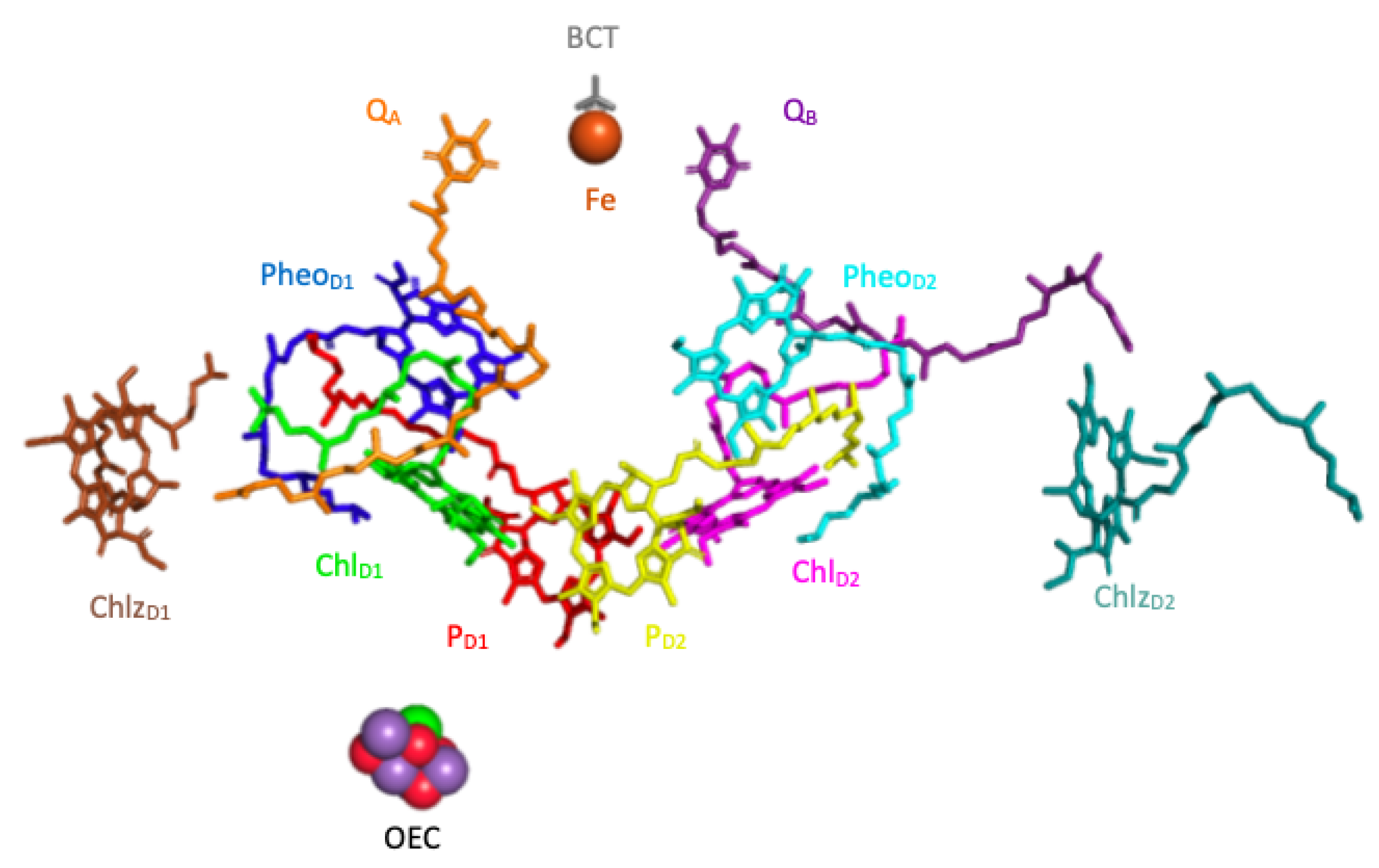 Catalysts 10 00718 g001