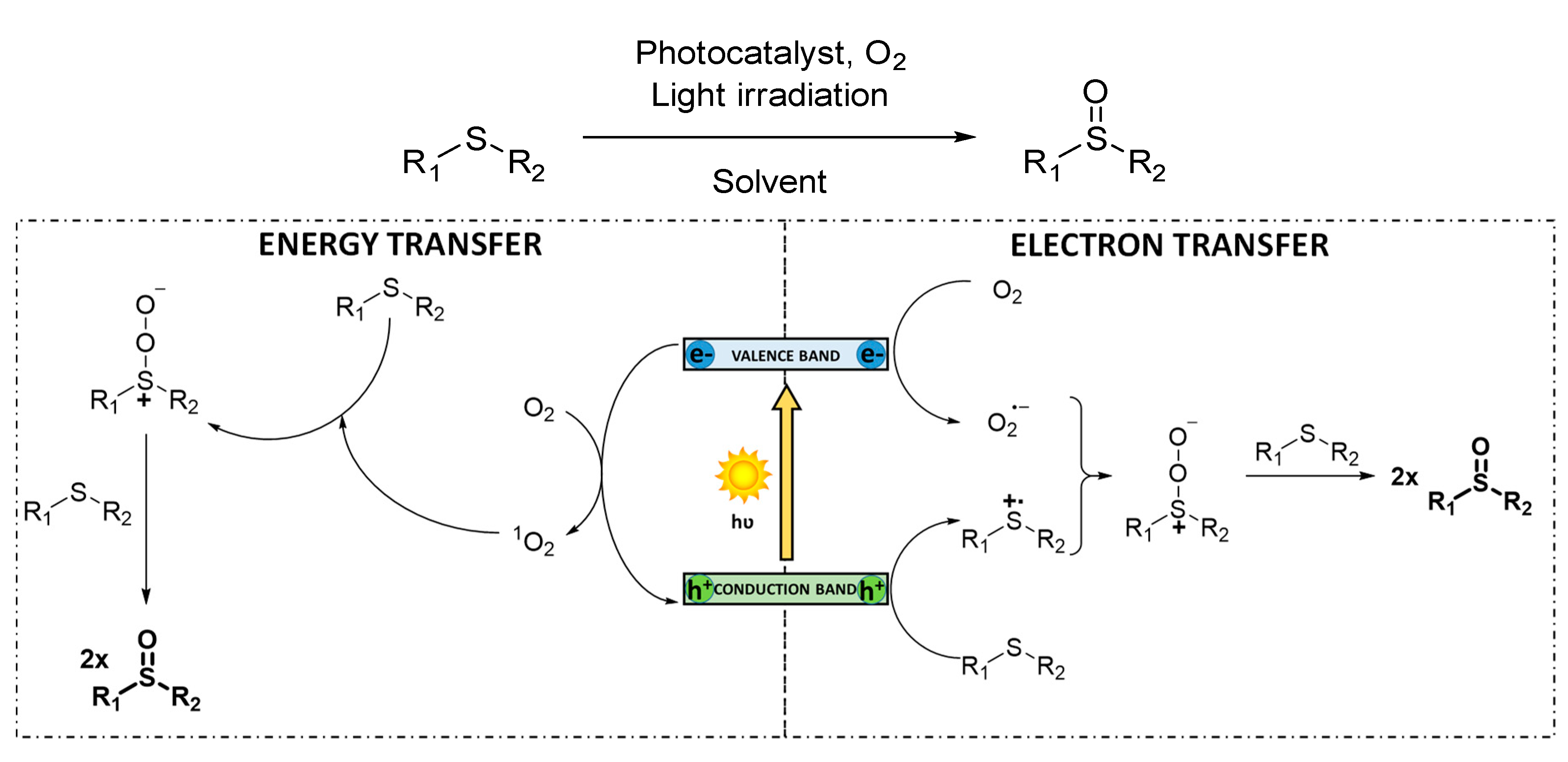 Catalysts 10 00720 sch004