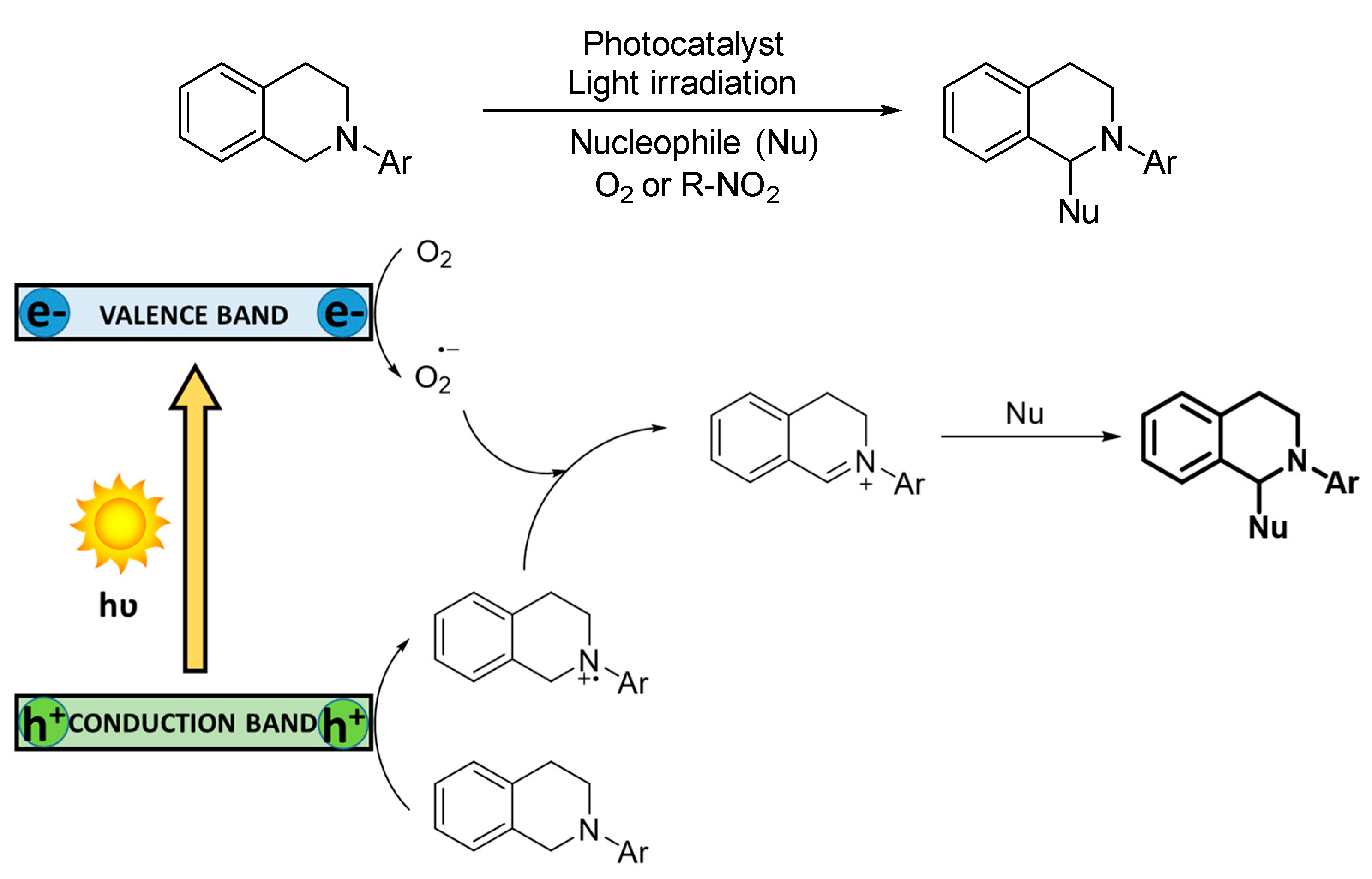 Catalysts 10 00720 sch010