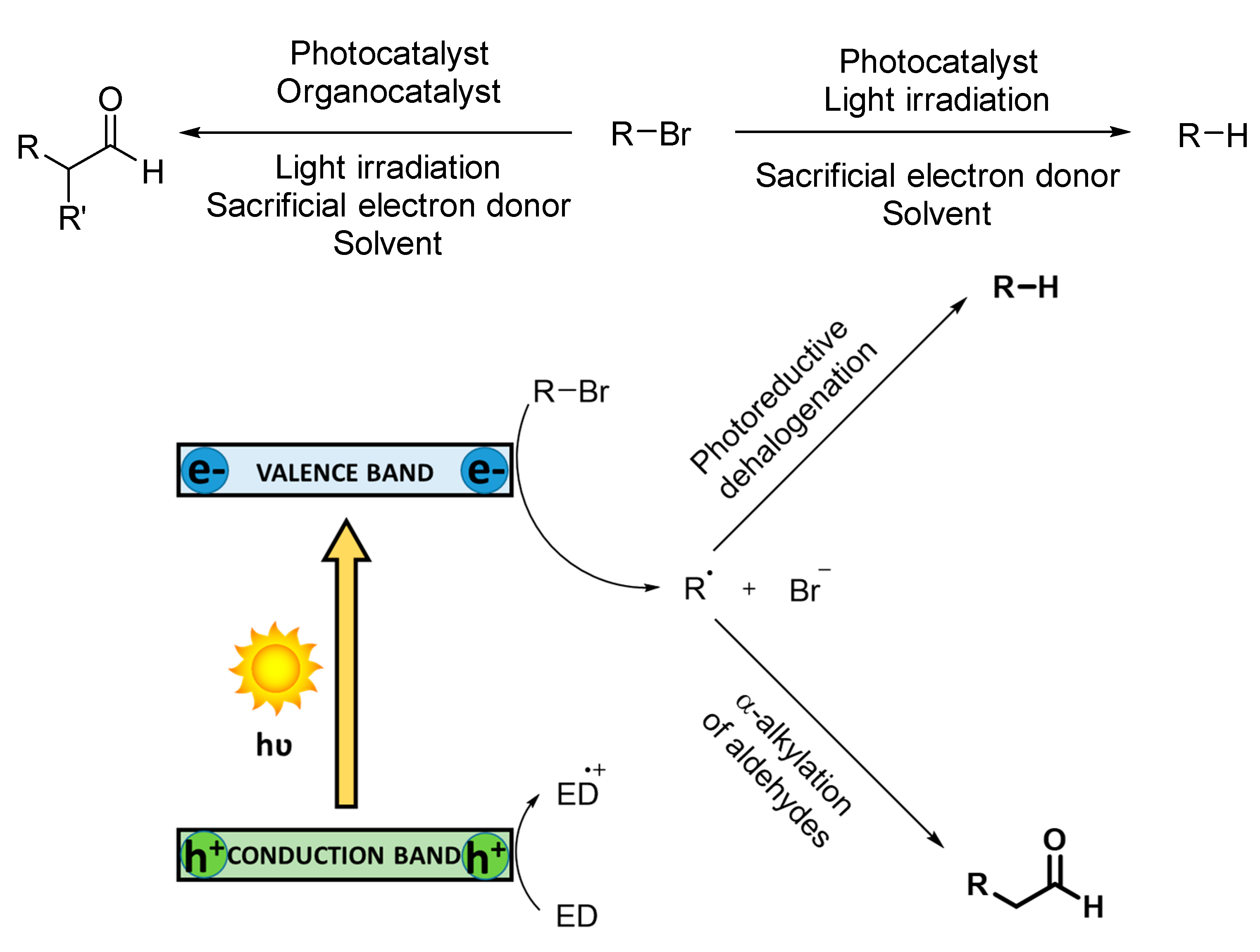 Catalysts 10 00720 sch011