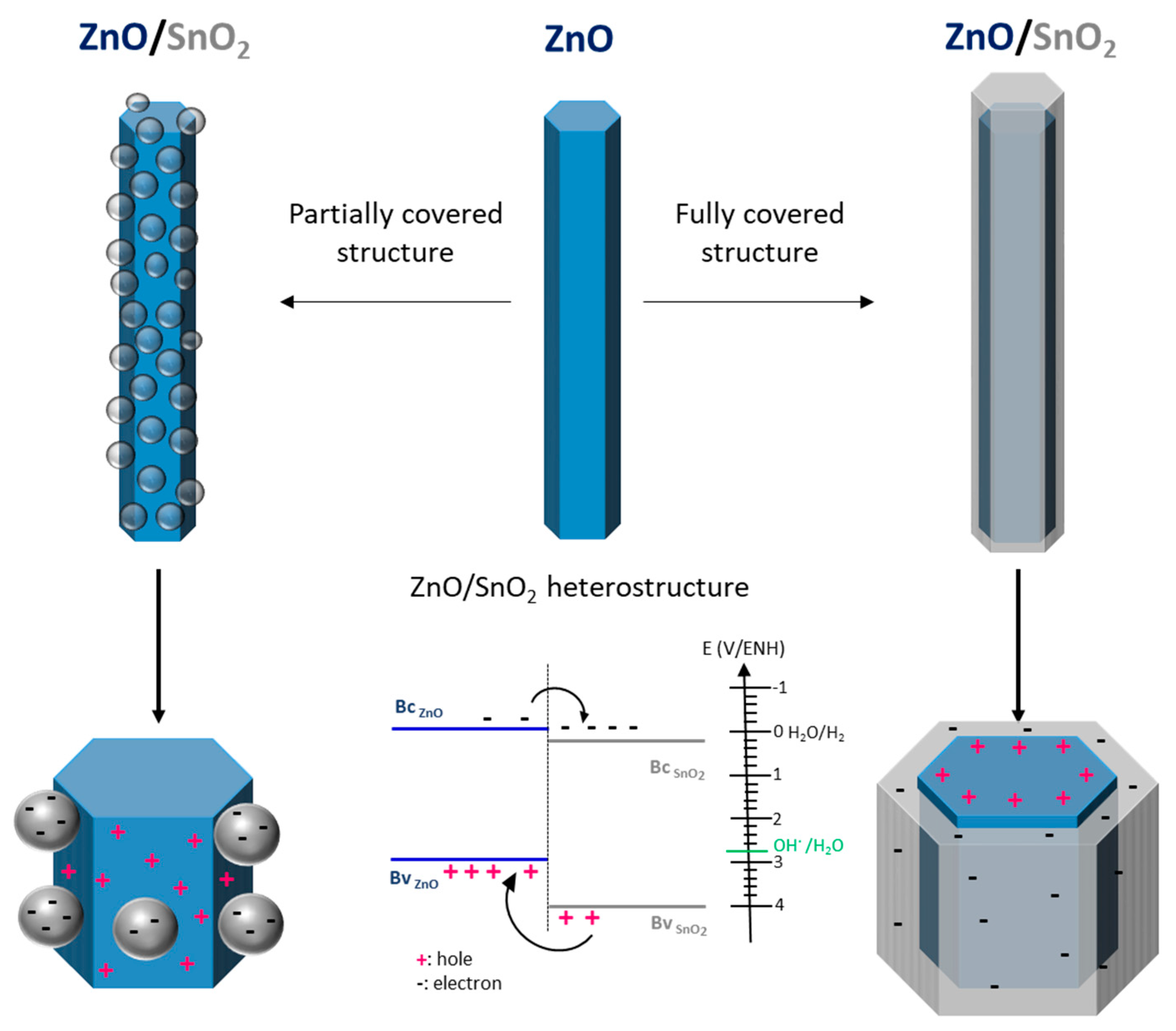Catalysts 10 00733 g002