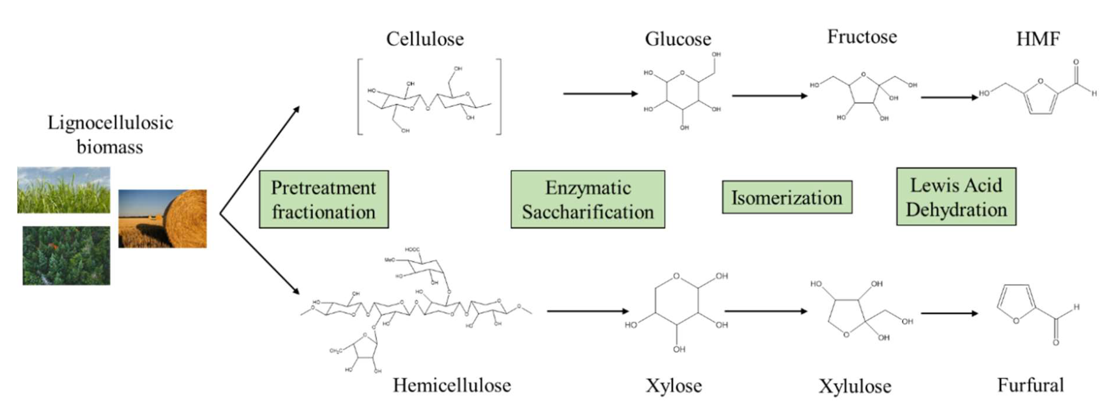 Catalysts 10 00743 g001