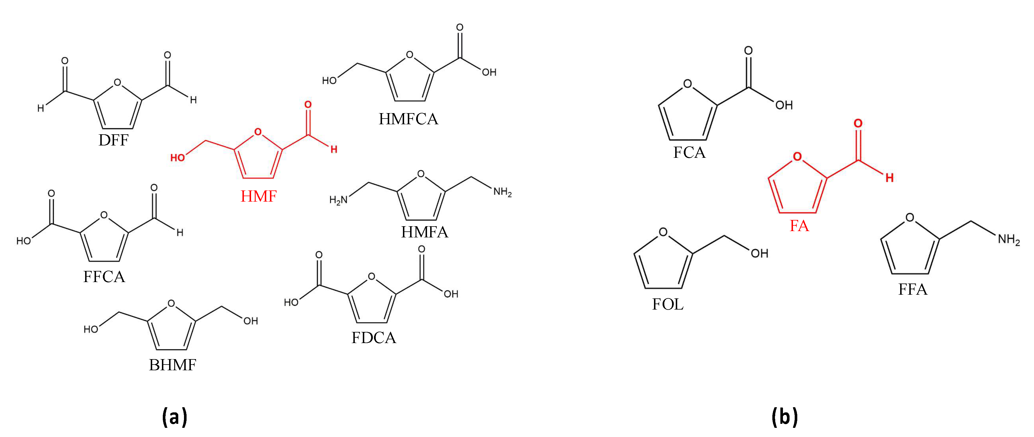 Catalysts 10 00743 g002