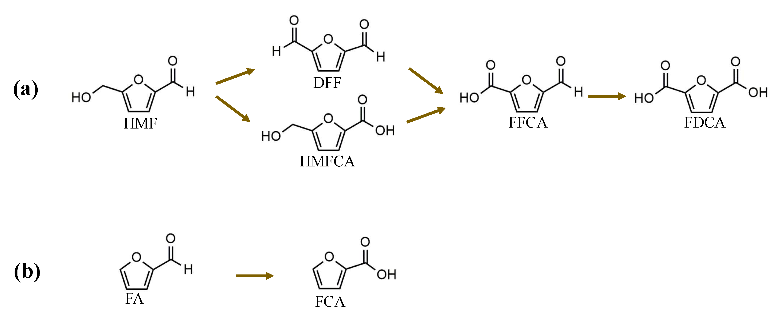Catalysts 10 00743 g003