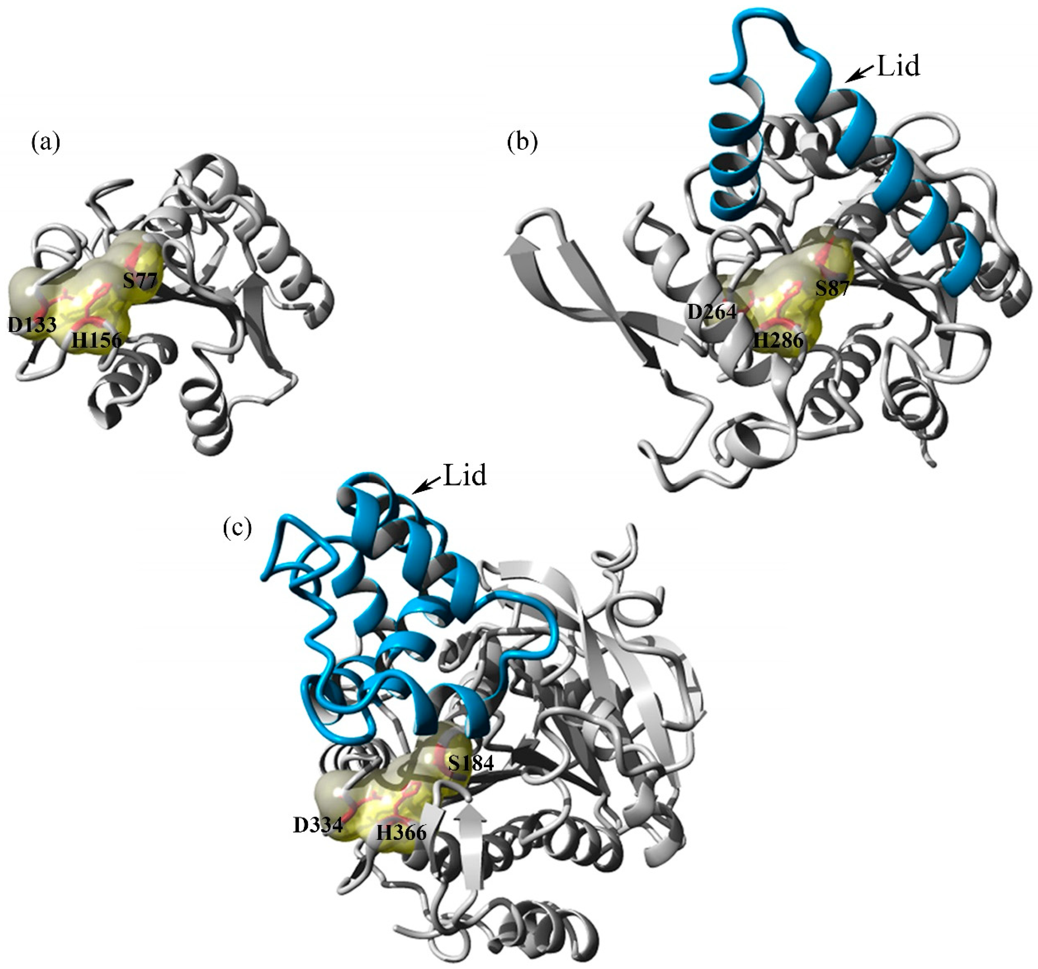 Catalysts 10 00747 g001 Catalysts 10 00747 g001