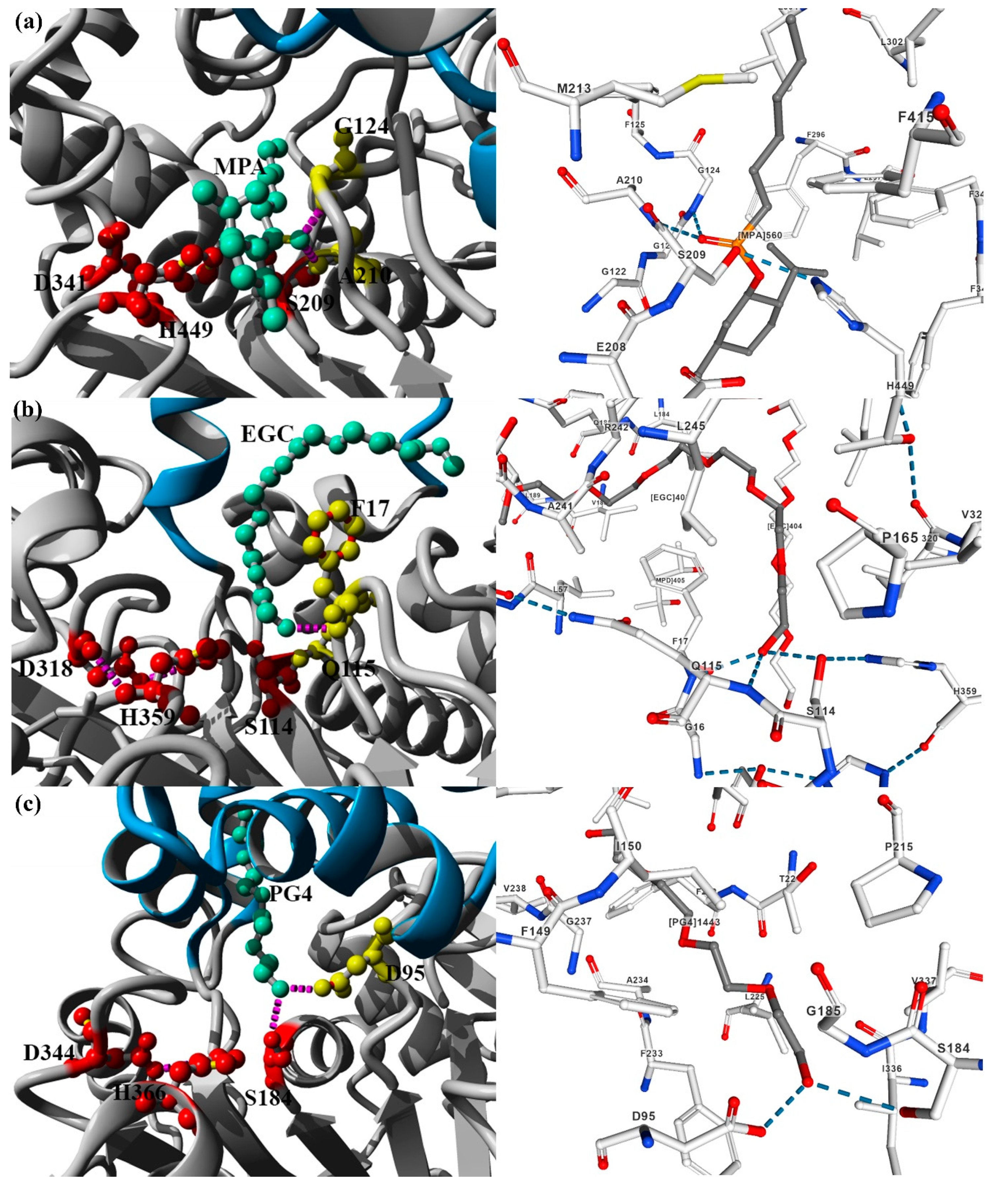 Catalysts 10 00747 g002 Catalysts 10 00747 g002