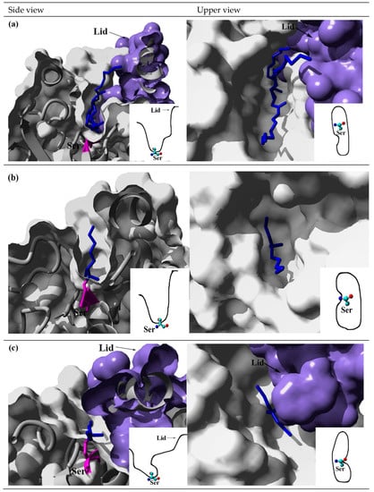 Catalysts 10 00747 g003a Catalysts 10 00747 g003a