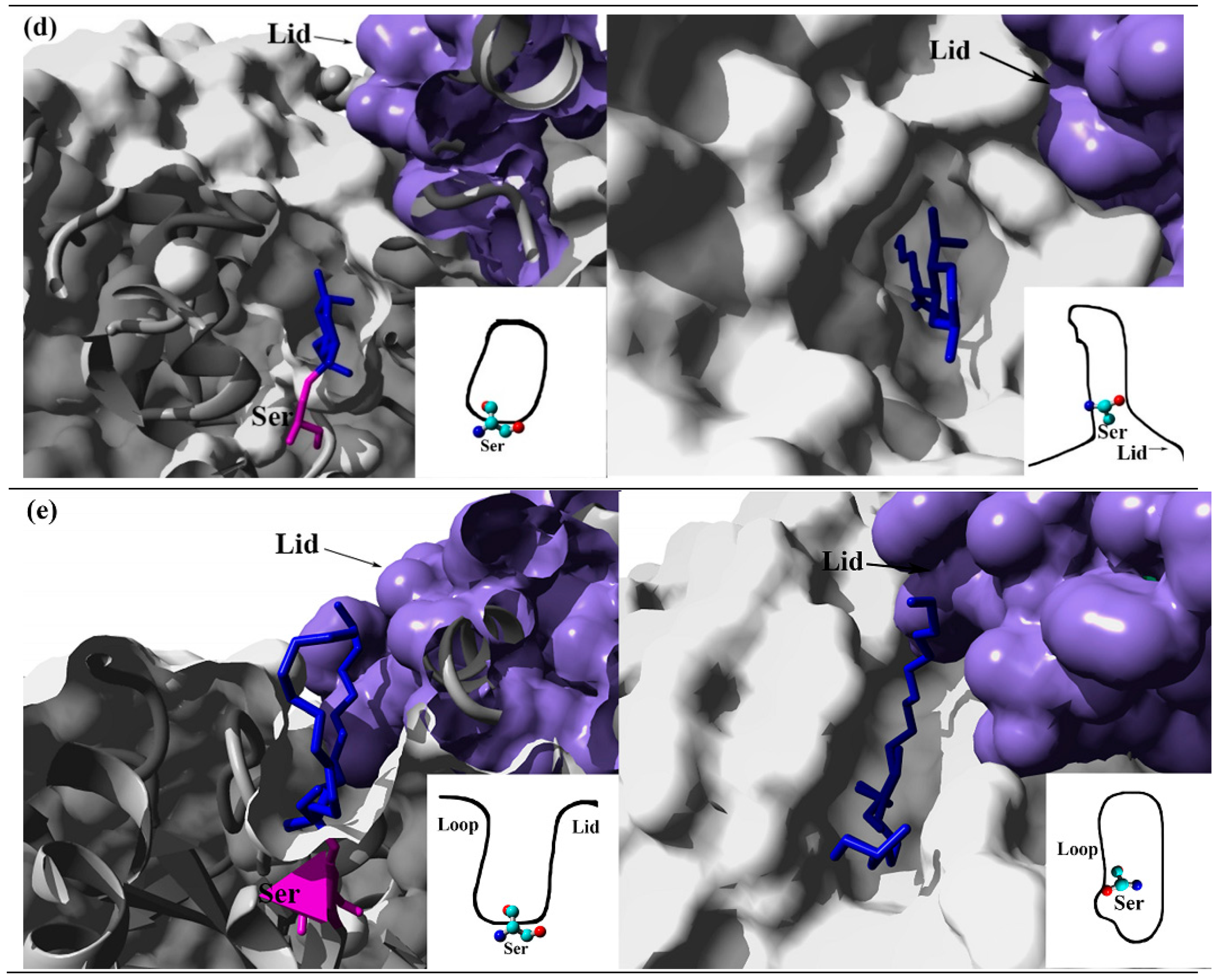 Catalysts 10 00747 g003b Catalysts 10 00747 g003b