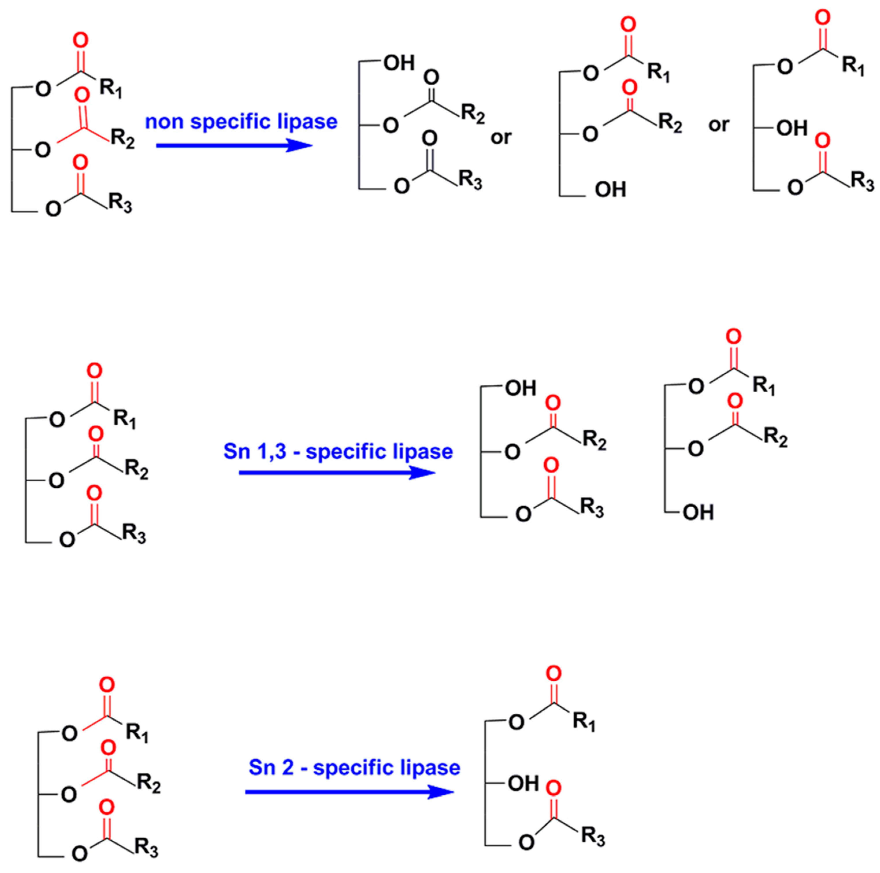 Catalysts 10 00747 g005 Catalysts 10 00747 g005