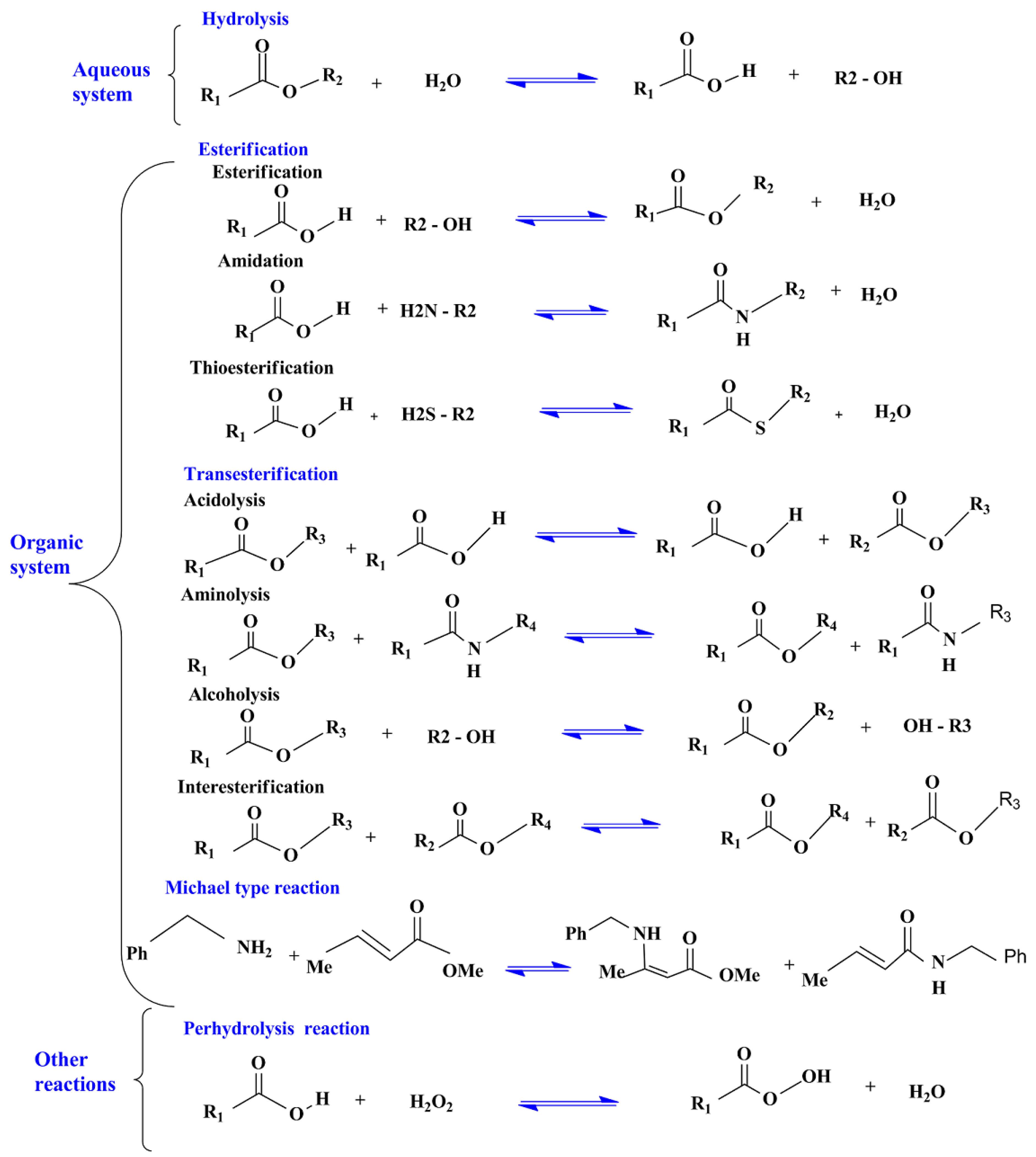 Catalysts 10 00747 g007 Catalysts 10 00747 g007