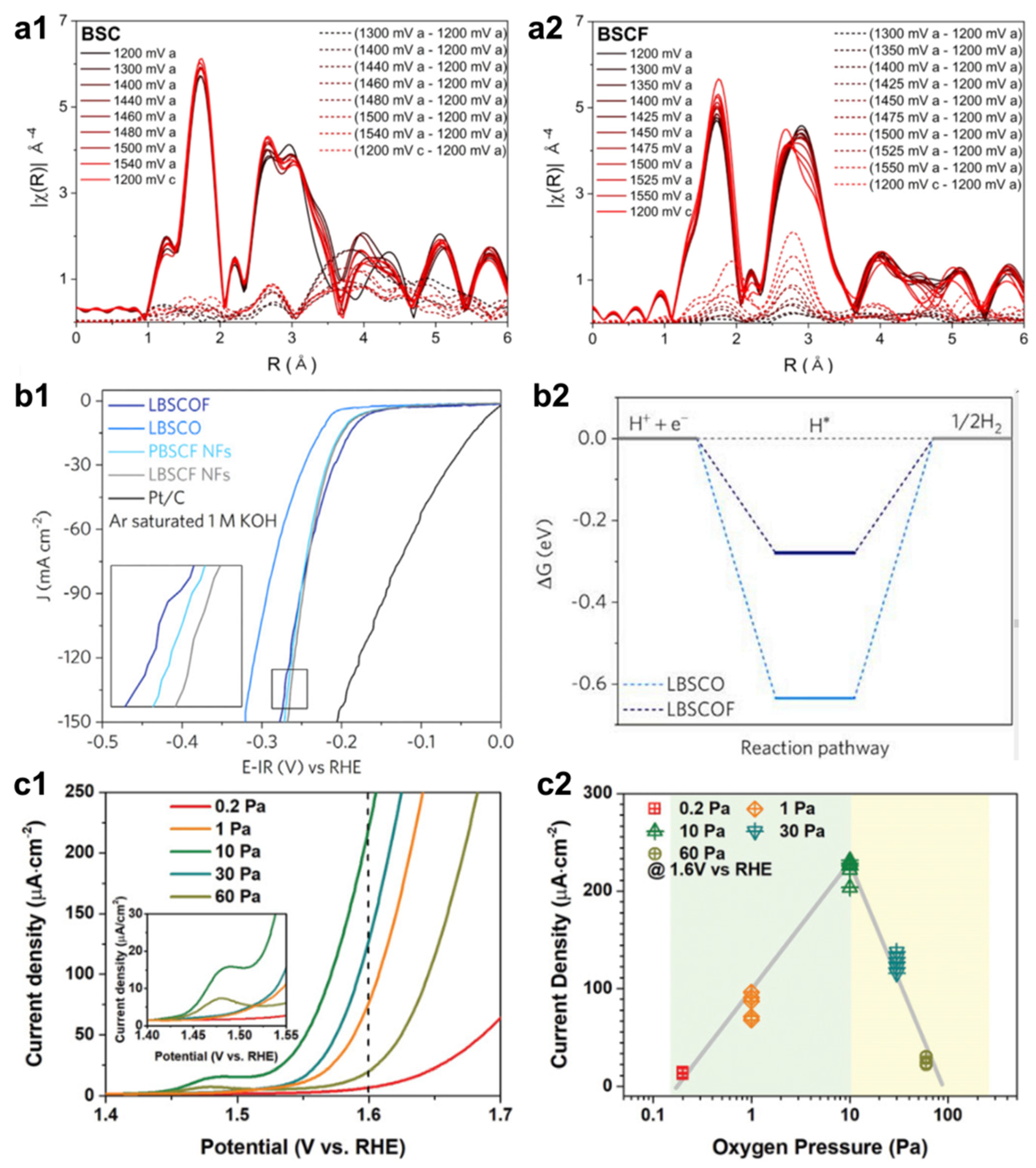 Catalysts 10 00770 g001