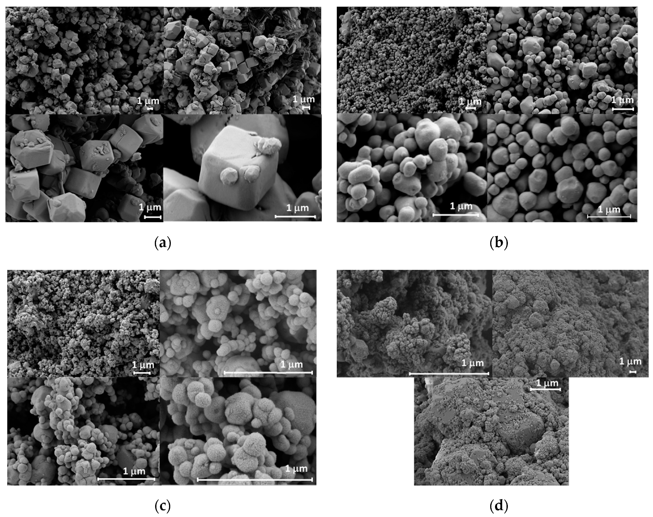 Catalysts 10 00774 g002