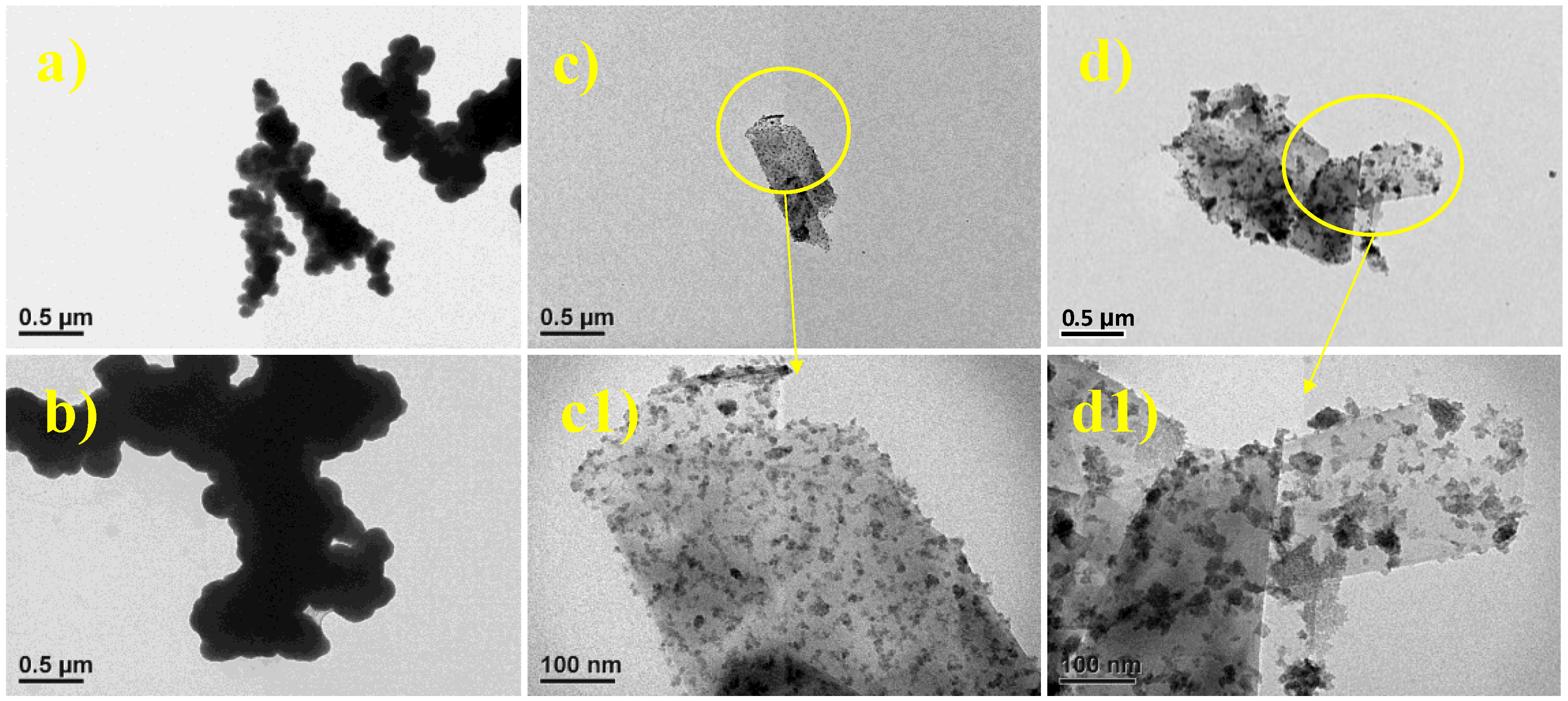 Catalysts 10 00789 g001