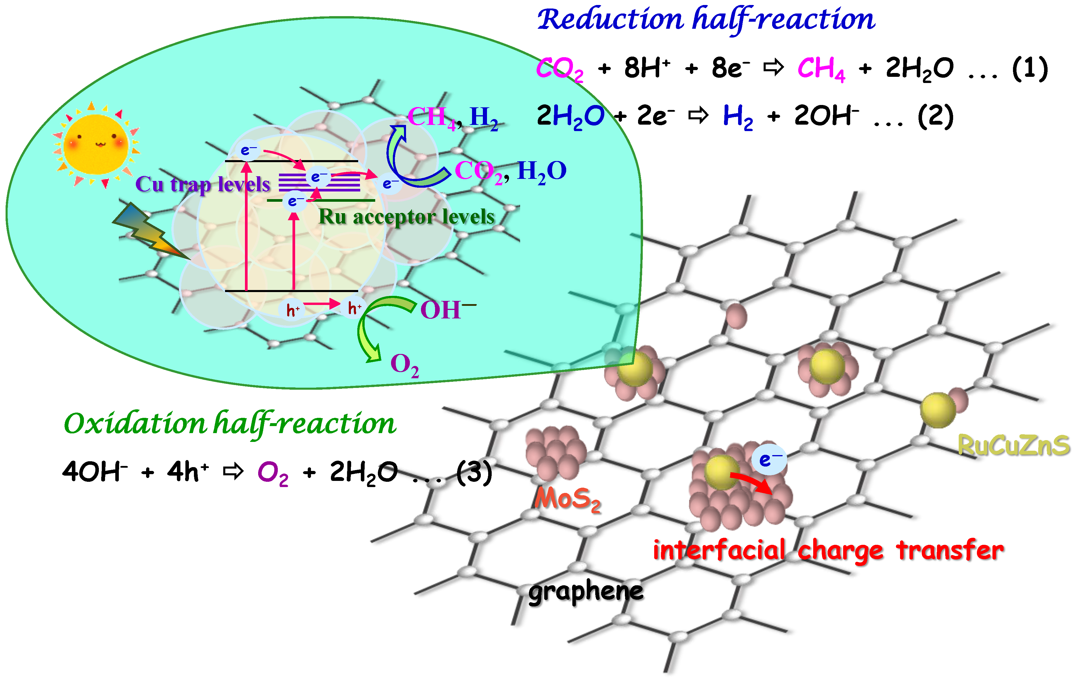 Catalysts 10 00789 g006