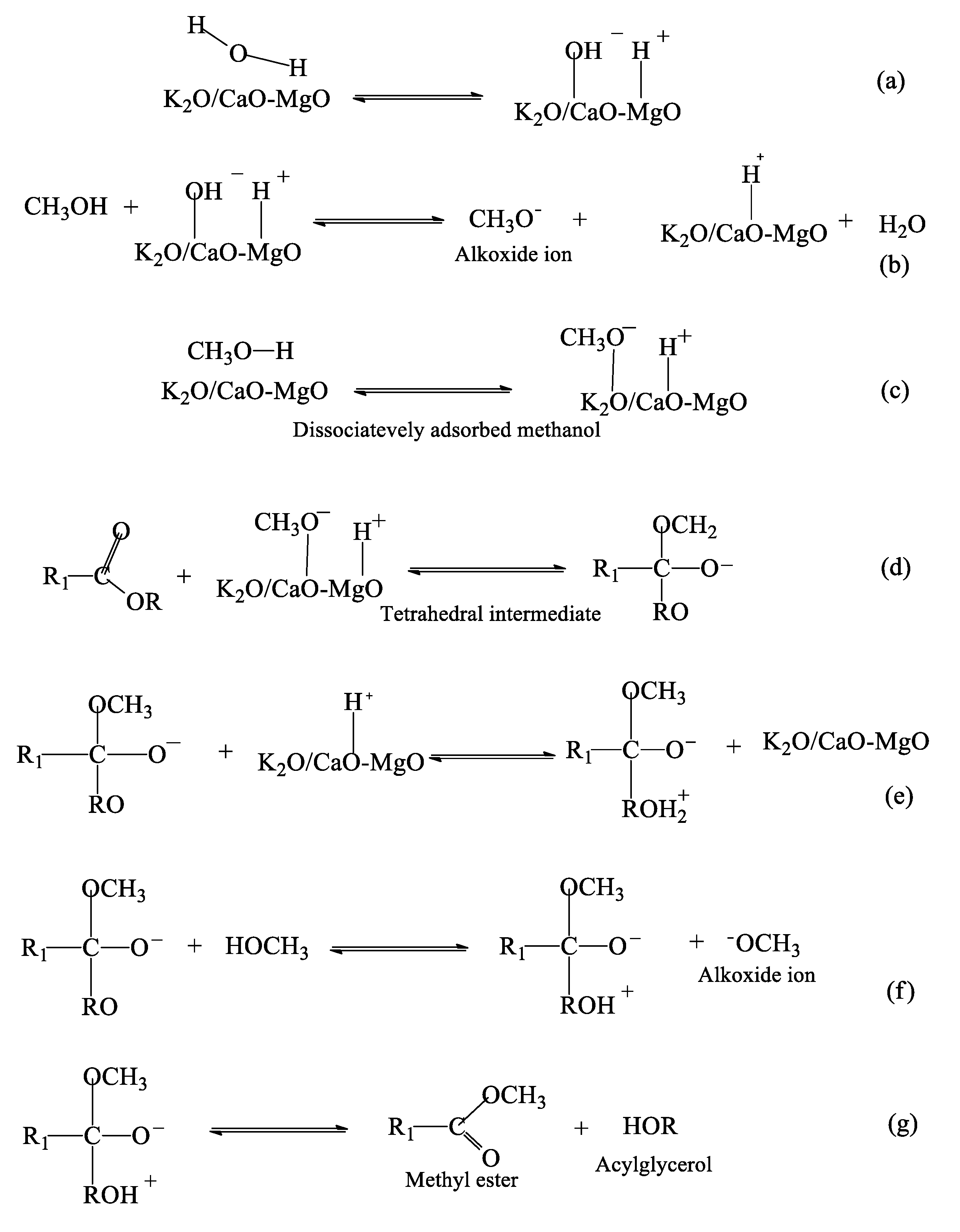 Catalysts 10 00791 g002