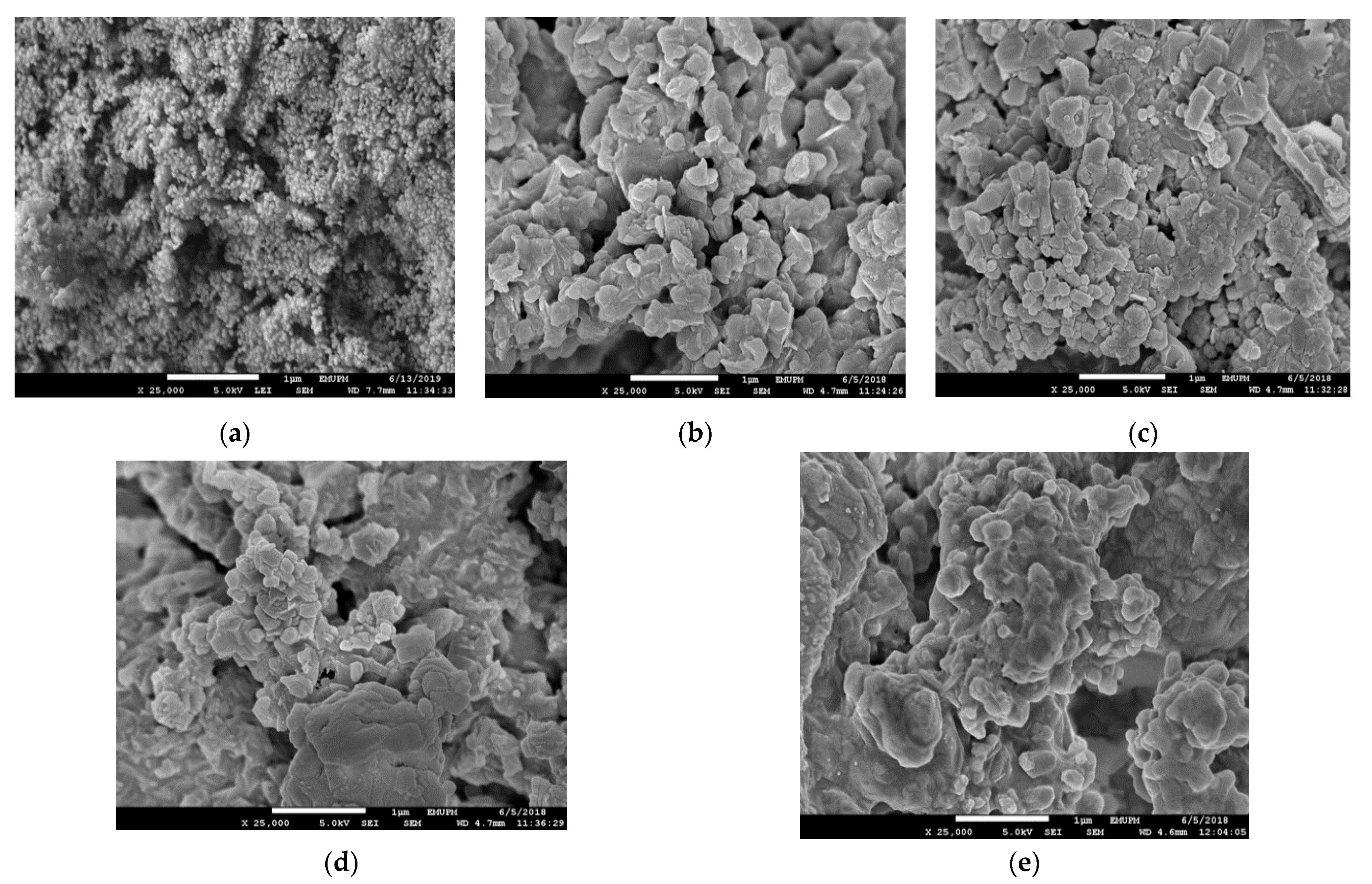 Catalysts 10 00791 g008