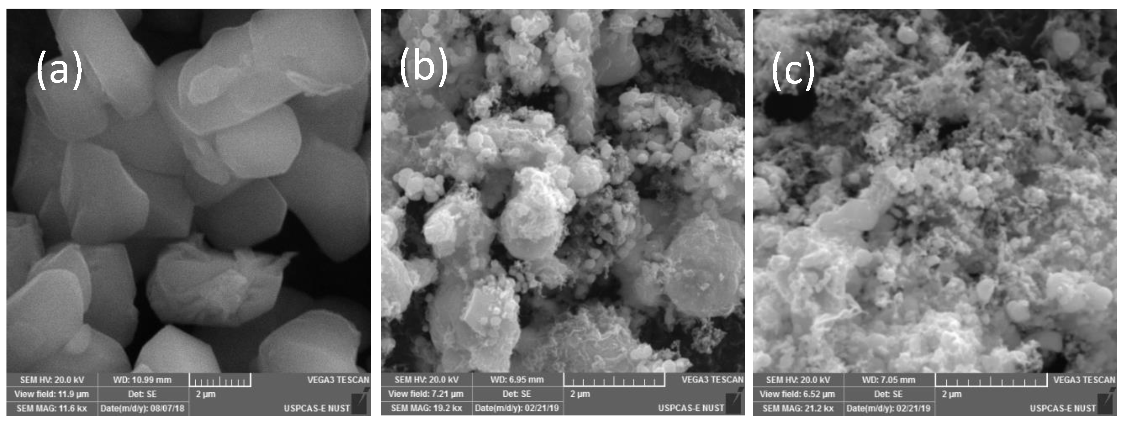 Catalysts 10 00799 g002 Catalysts 10 00799 g002