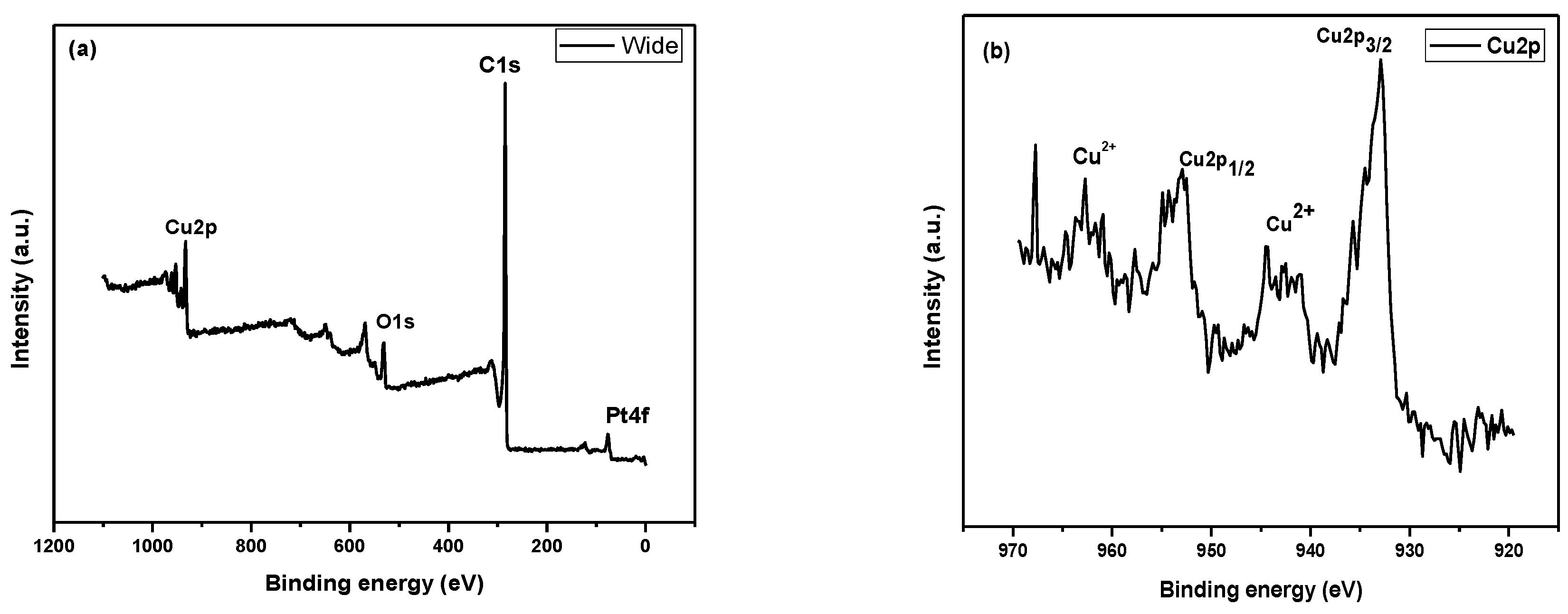 Catalysts 10 00799 g006a Catalysts 10 00799 g006a