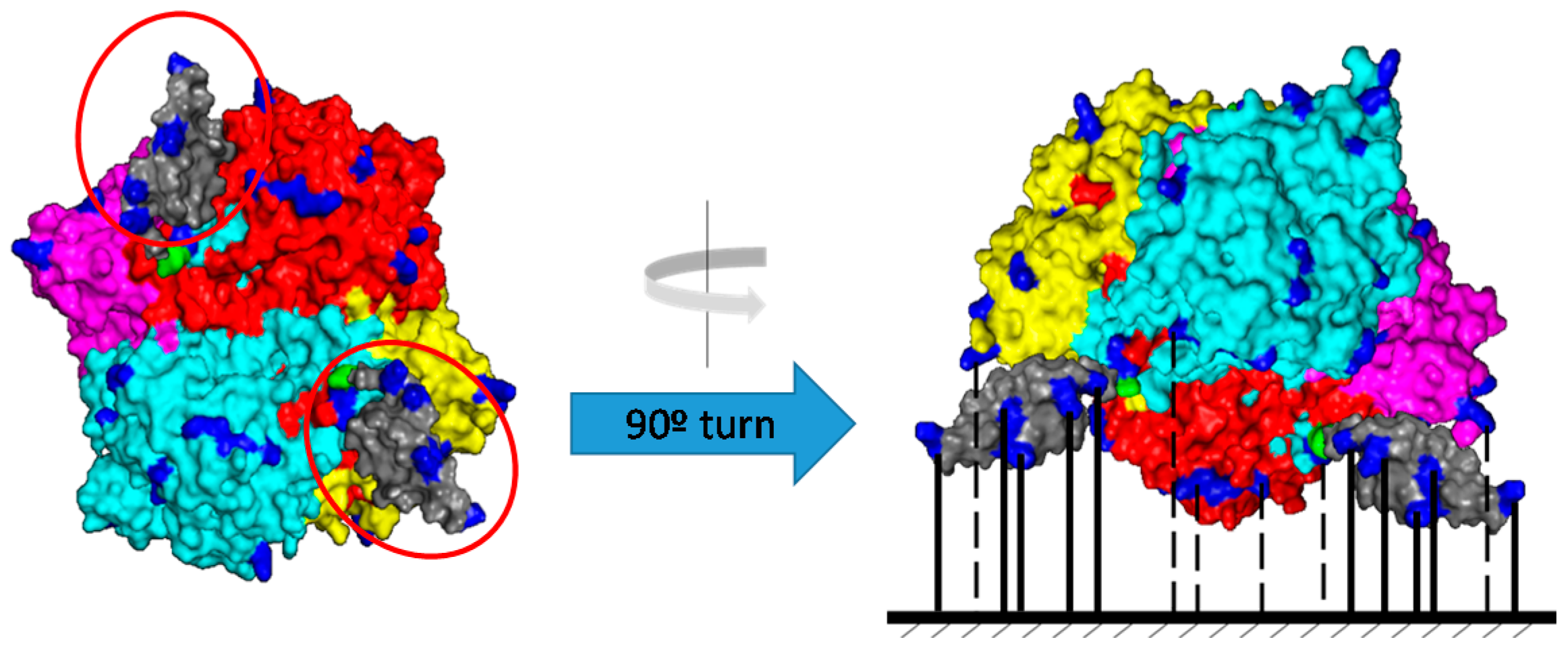 Catalysts 10 00810 g001 Catalysts 10 00810 g001