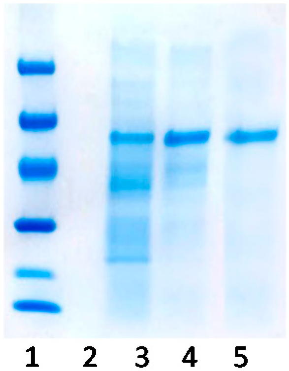 Catalysts 10 00810 g002 Catalysts 10 00810 g002