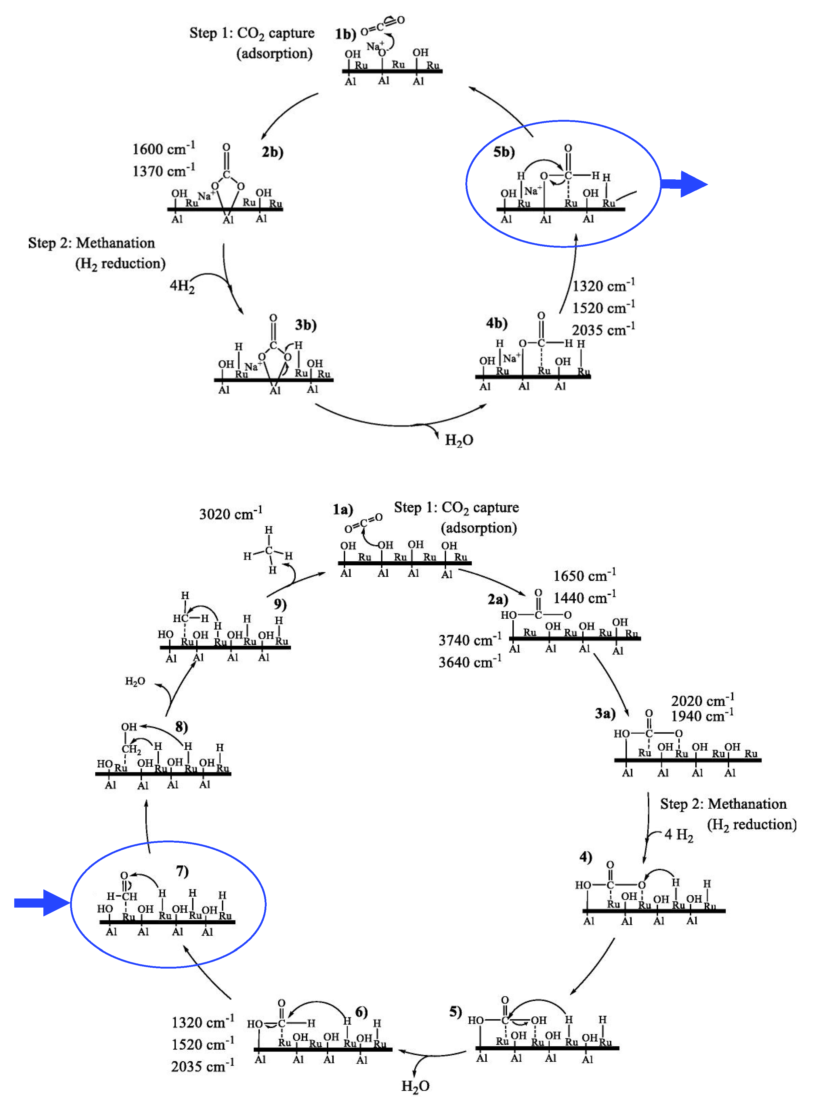 Catalysts 10 00812 g009