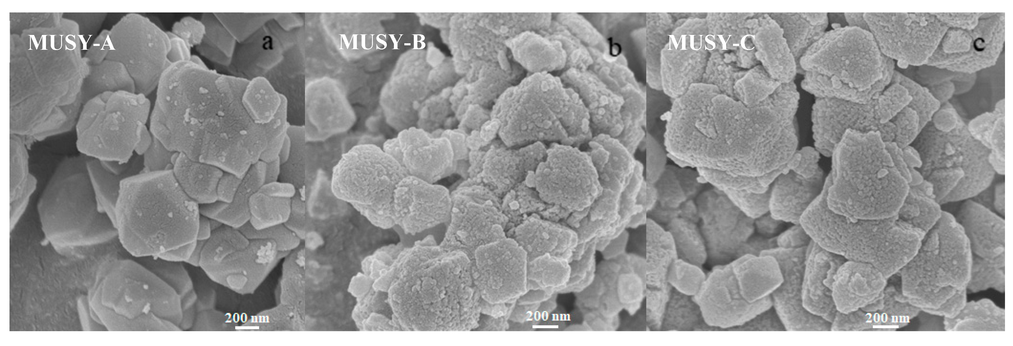 Catalysts 10 00815 g002