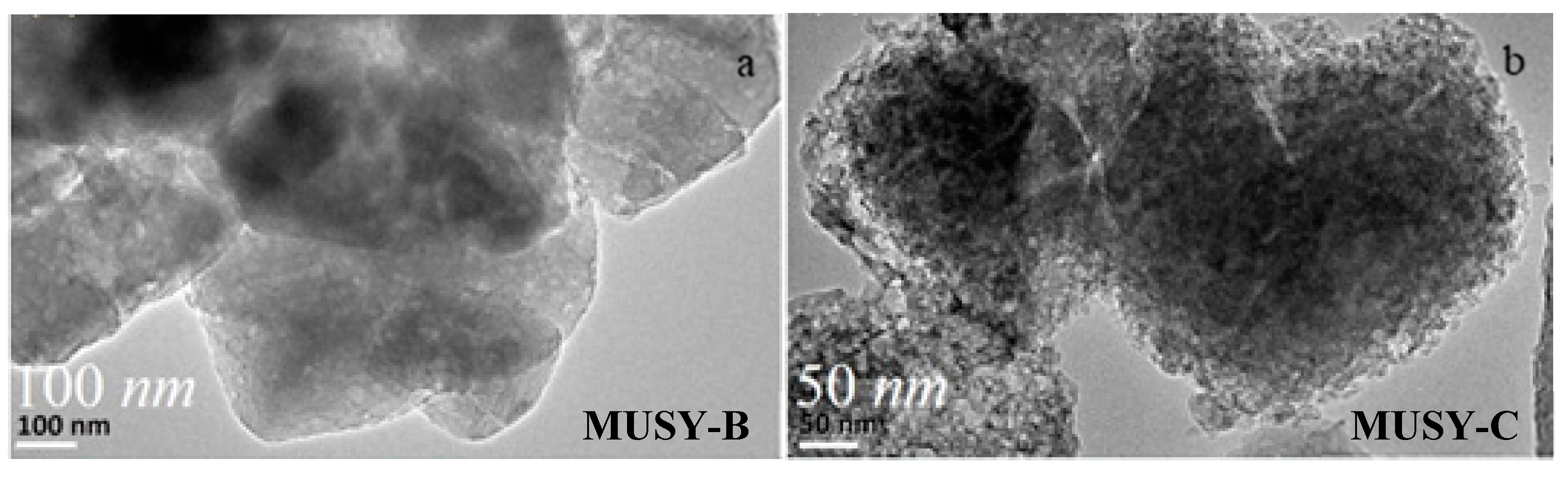 Catalysts 10 00815 g003