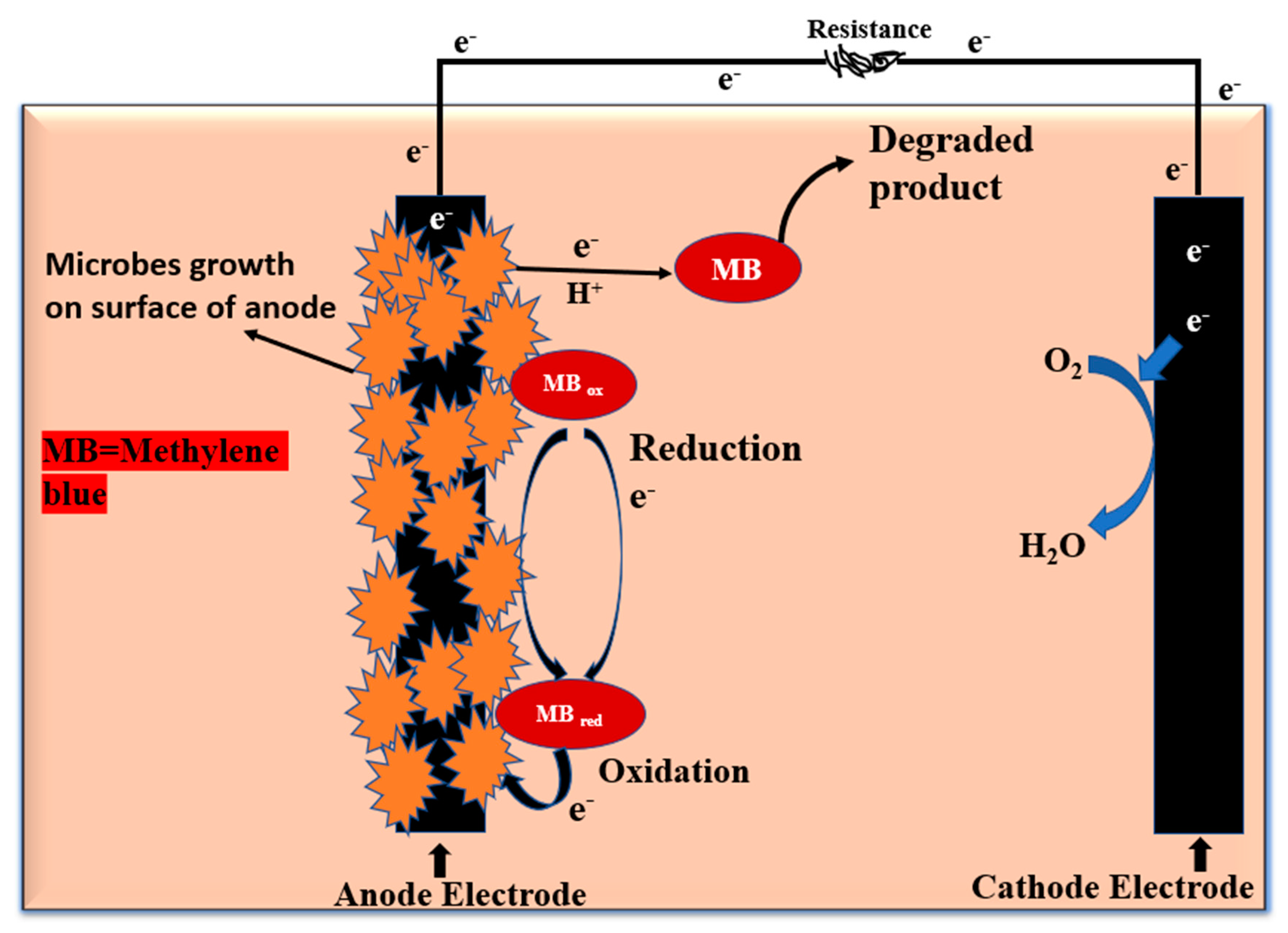 Catalysts 10 00819 g003