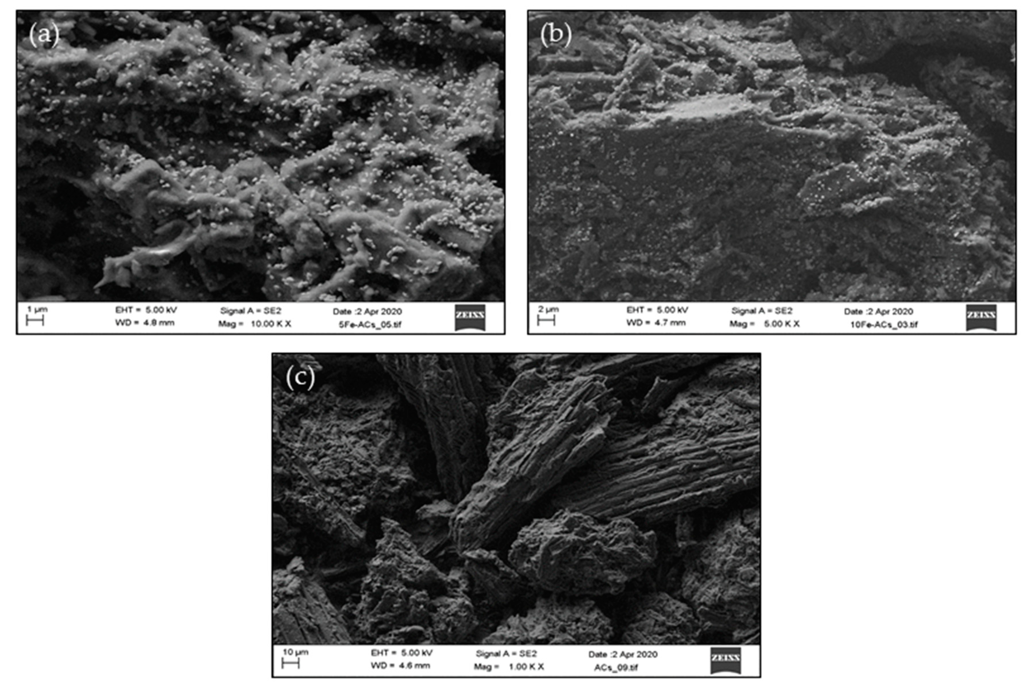 Catalysts 10 00821 g003