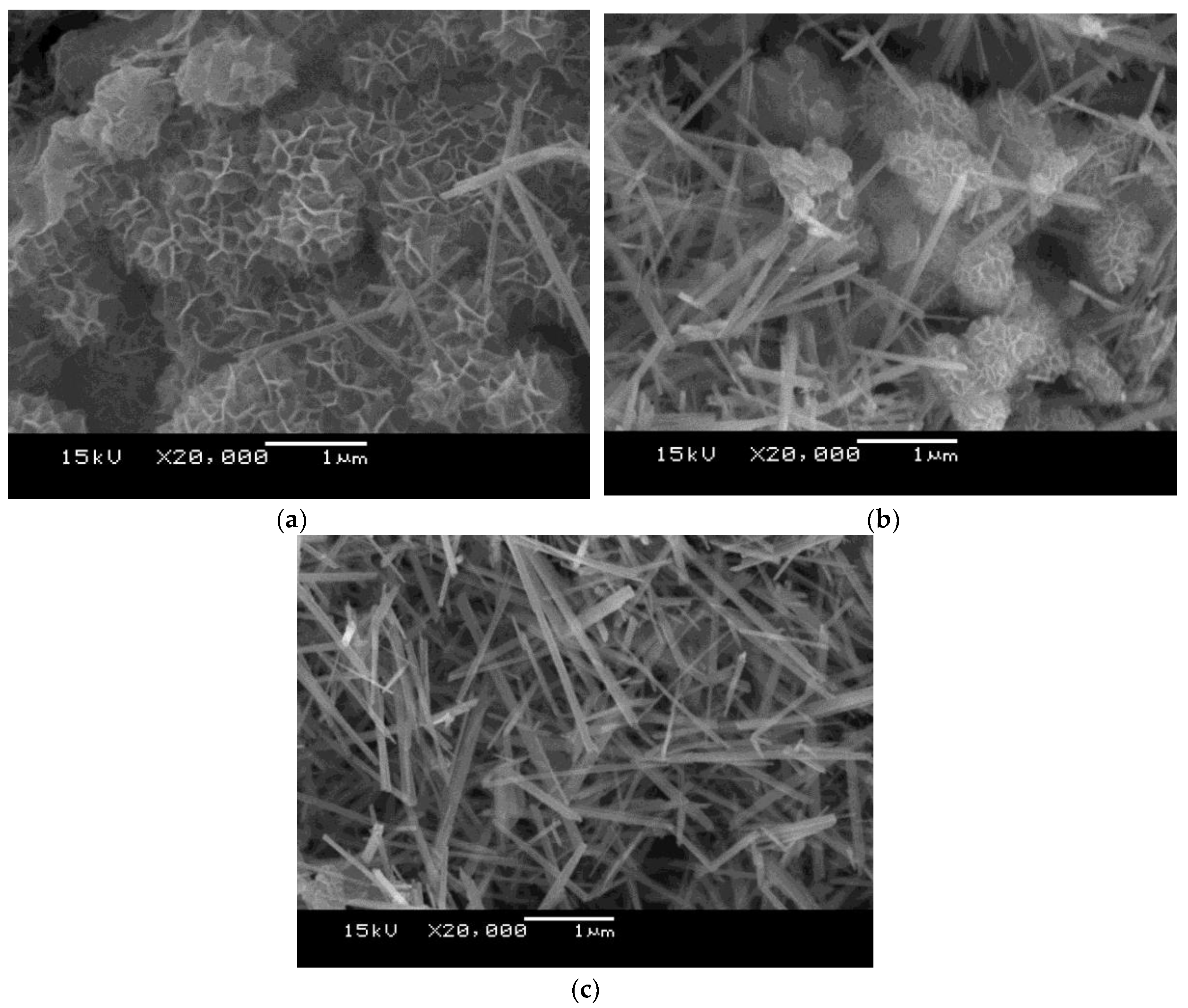 Catalysts 10 00822 g001