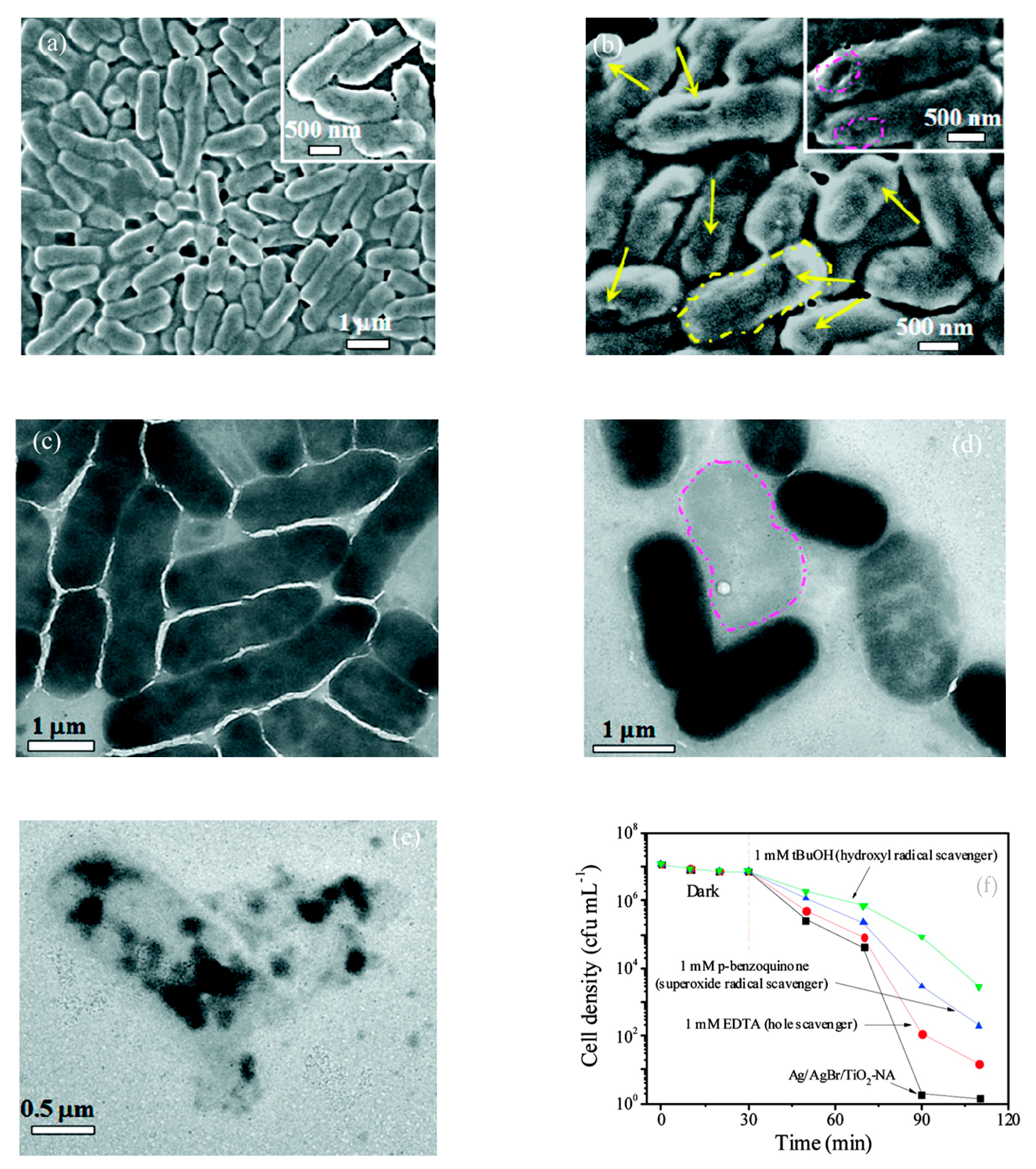 Catalysts 10 00824 g005 Catalysts 10 00824 g005